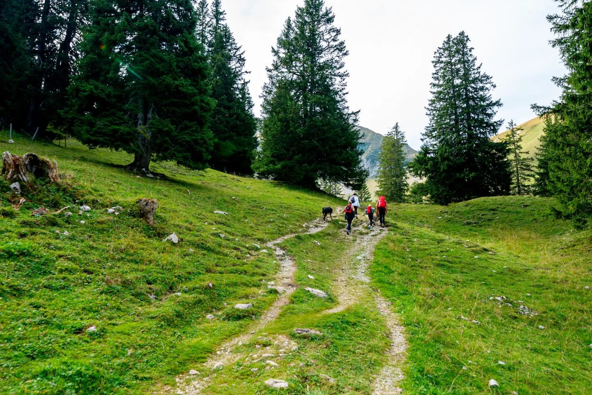 People in Hotel Sonne - Self Check-in