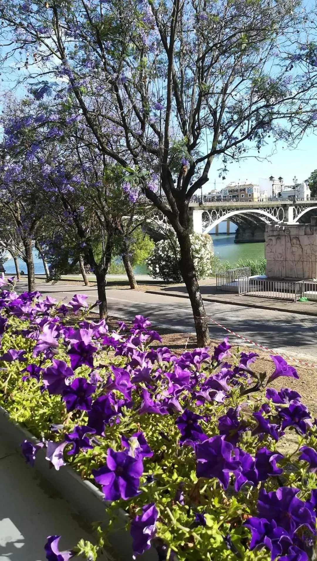 Spring in Anna Triana Boutique Apartament