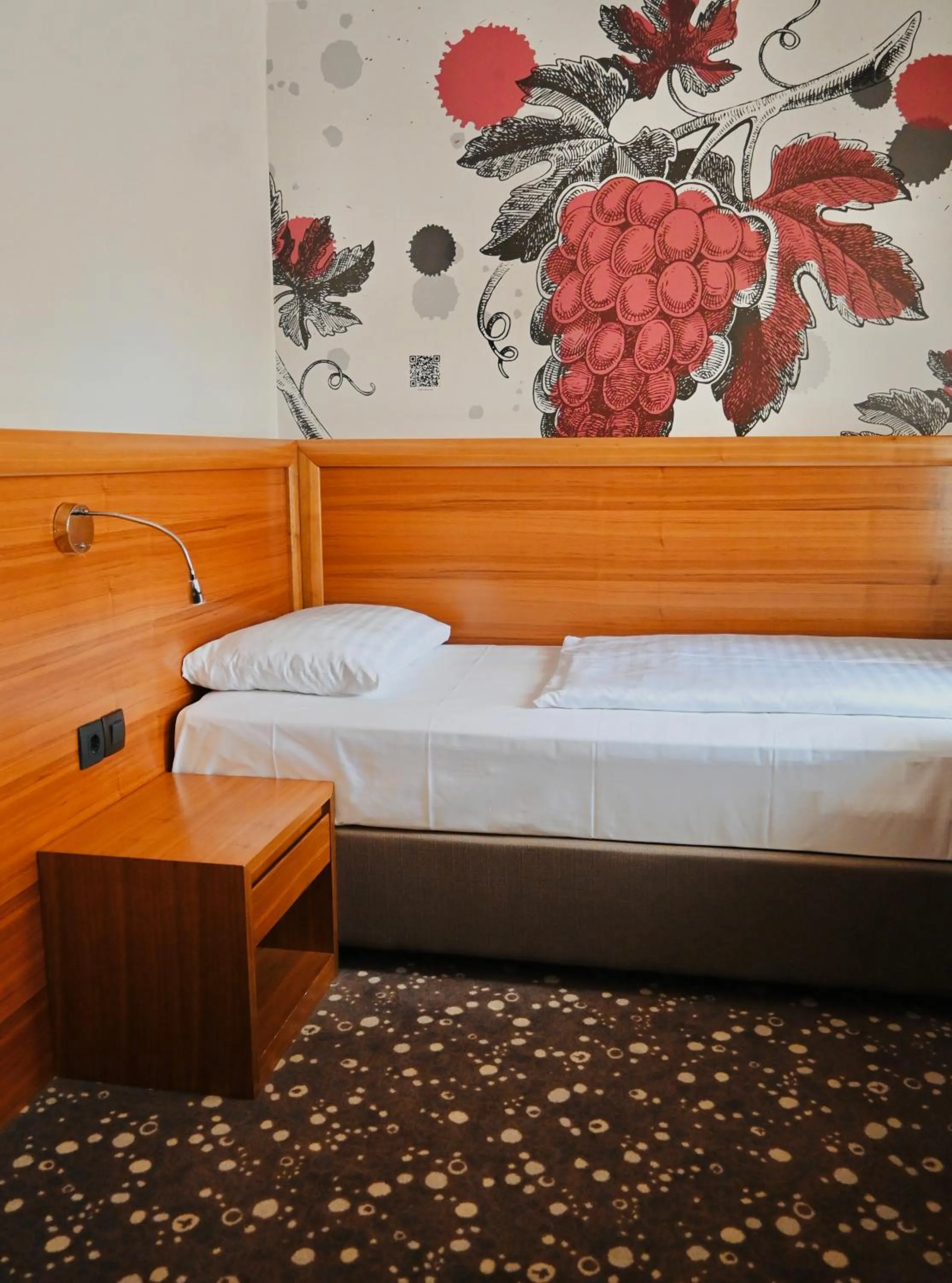 Standard Single Room in Hotel Piramida