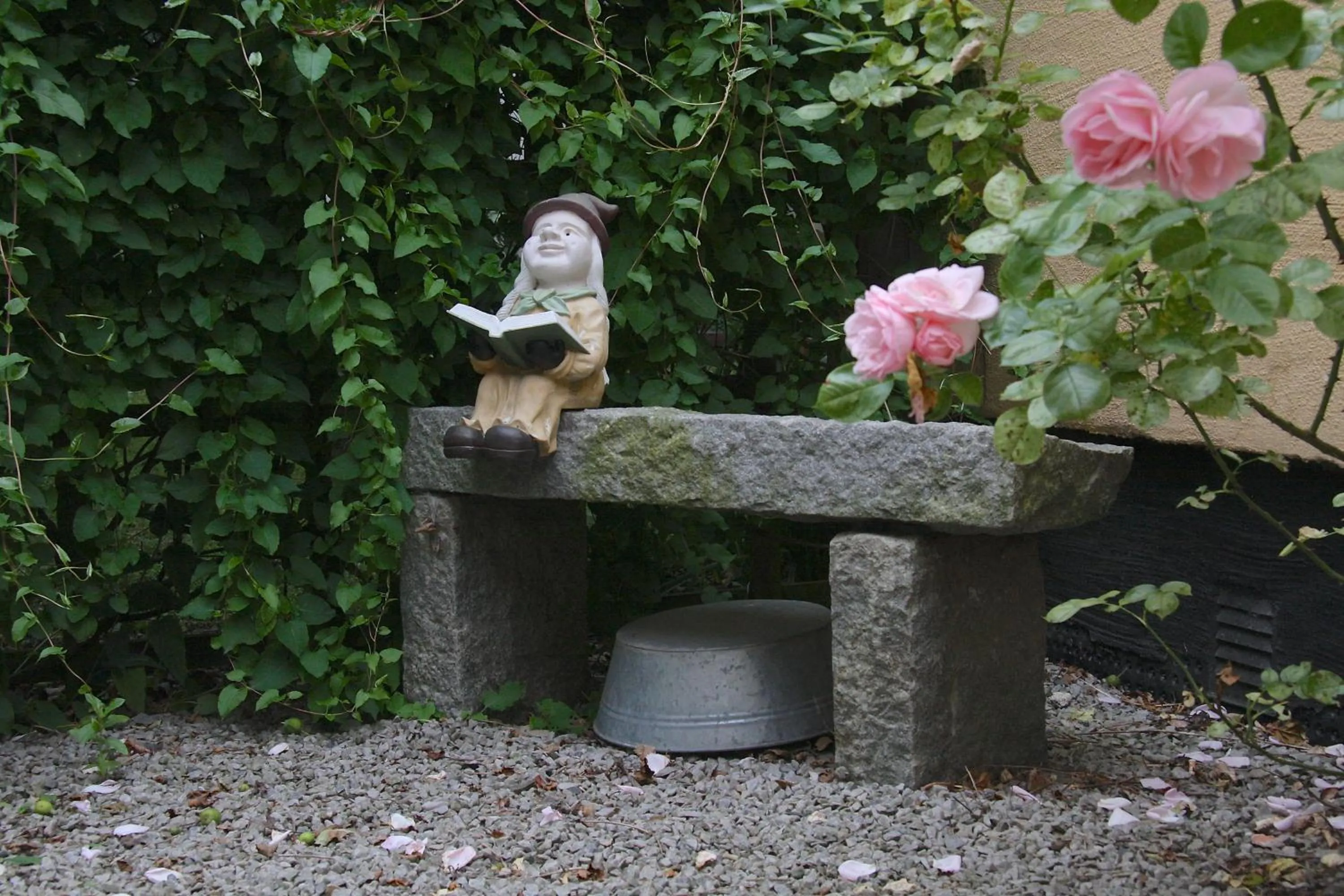 Garden in Hotell Oskar