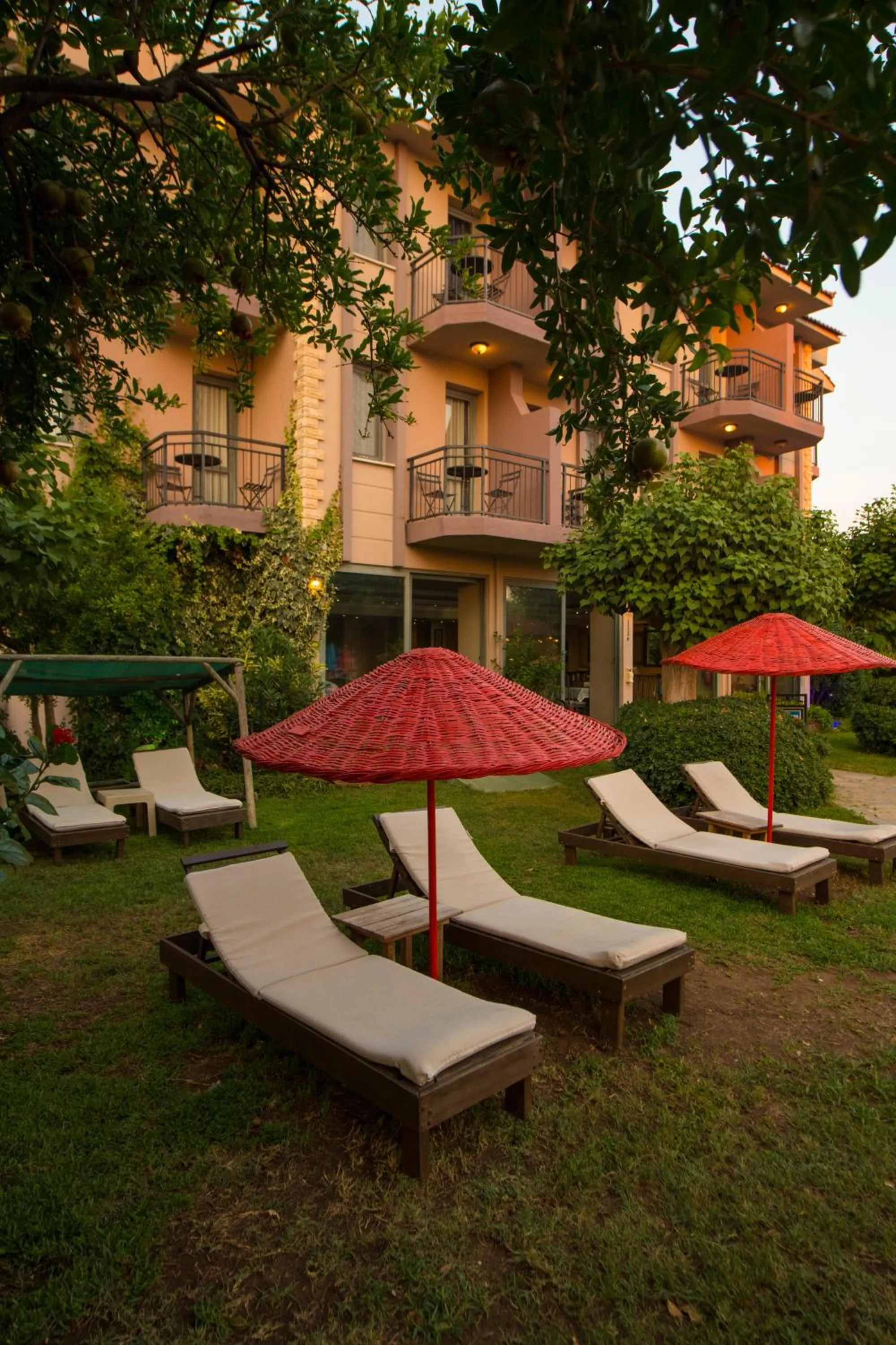 Garden in Golden Moon Hotel