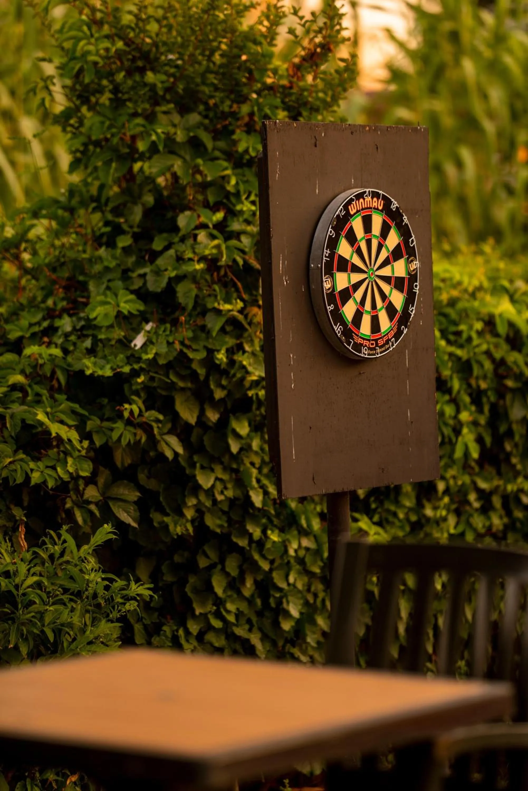 Garden in Golden Moon Hotel