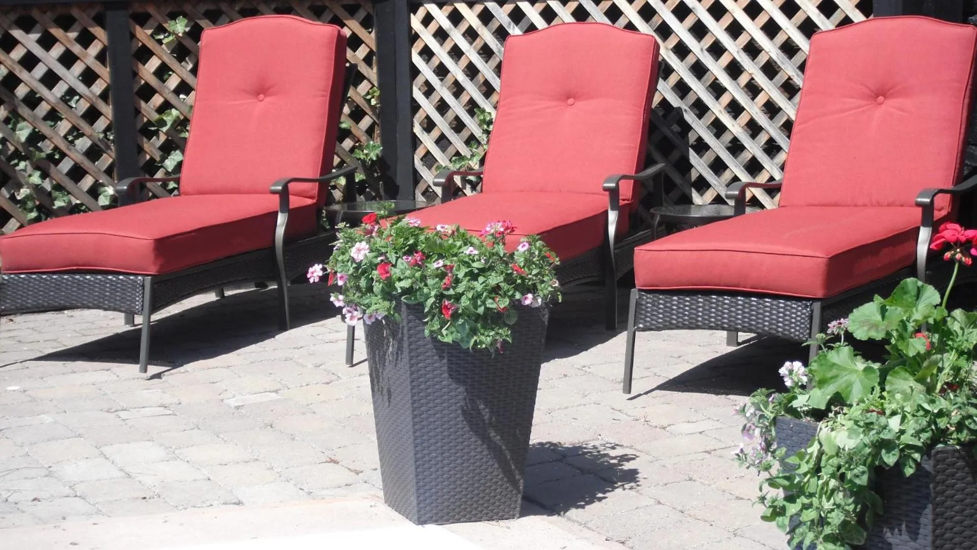 Swimming pool in A Touch of English B&B
