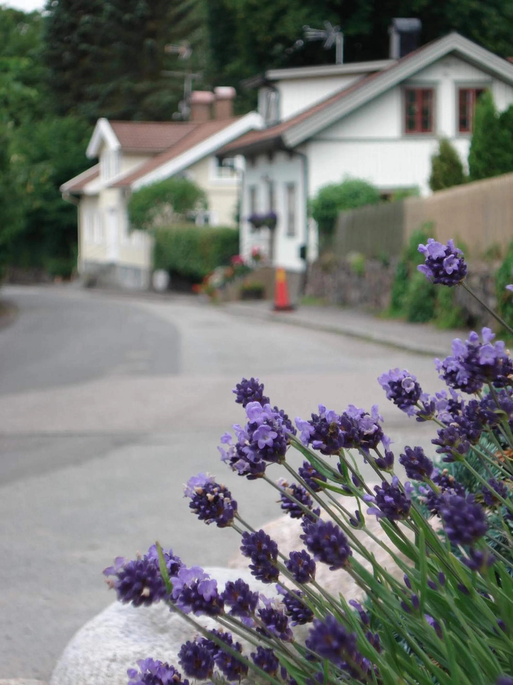 Area and facilities in Nordiska Folkhögskolan Bed and Breakfast