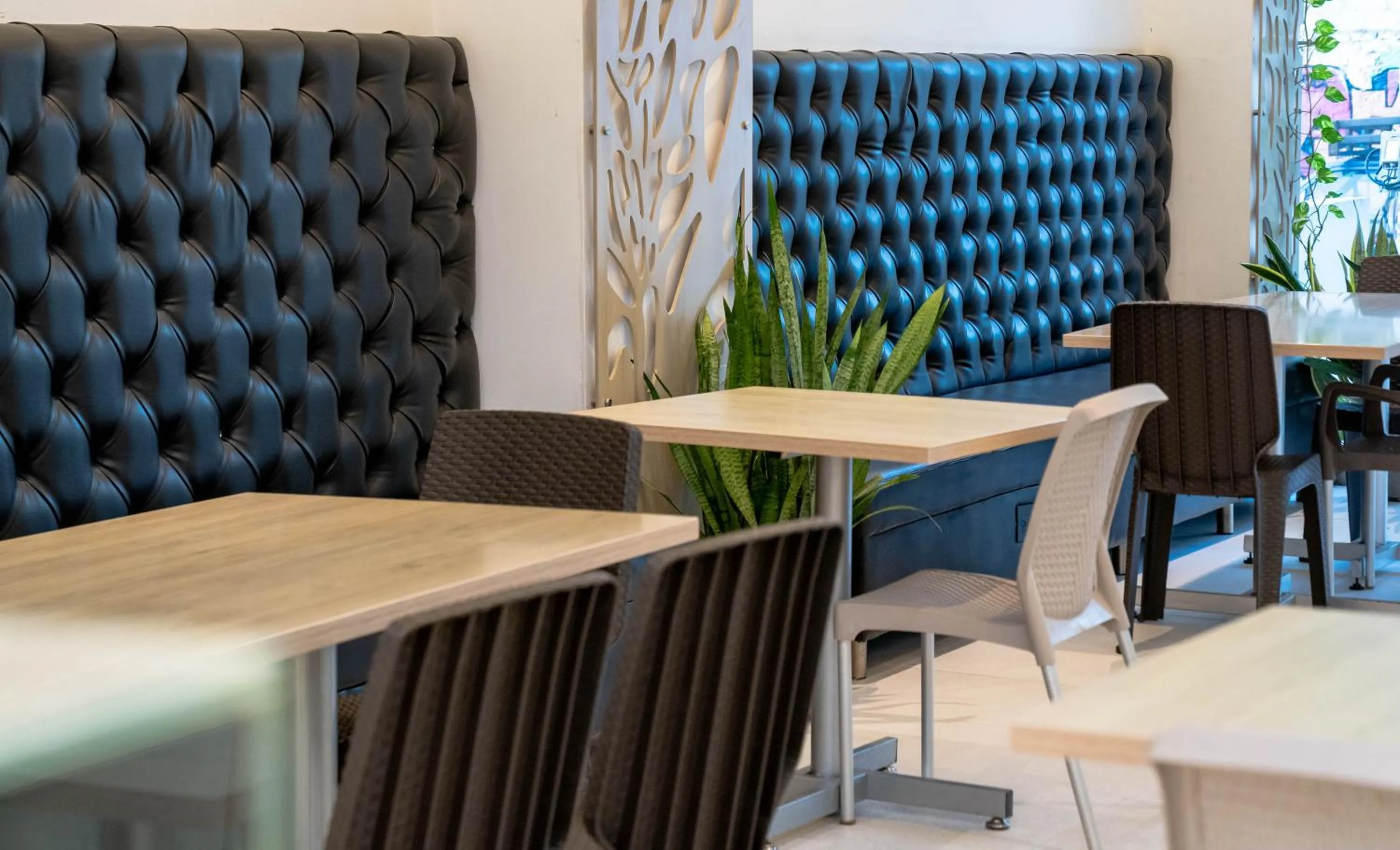 Restaurant/places to eat in Hotel Viña Del Mar