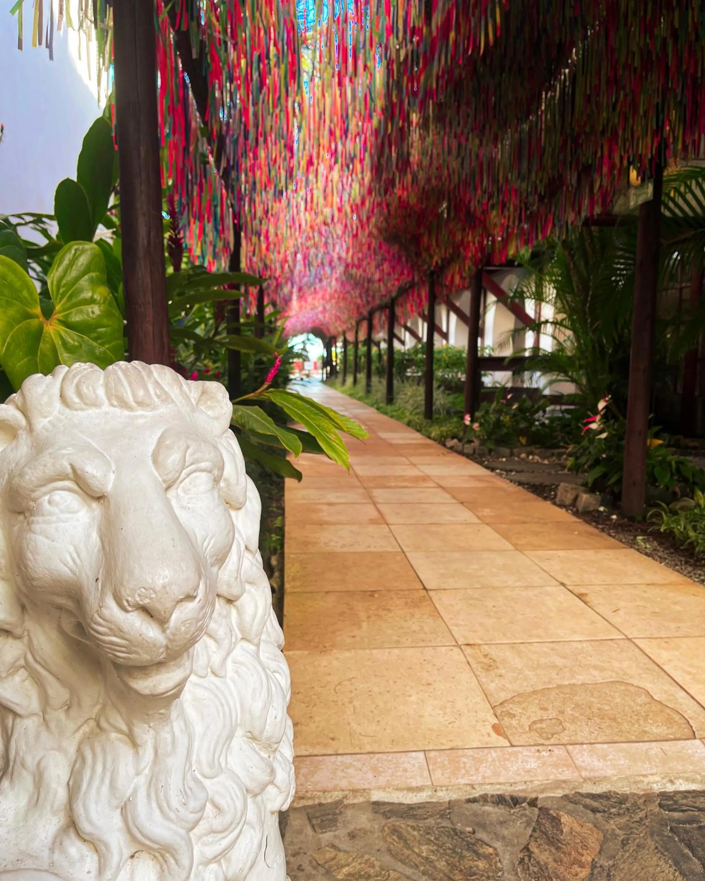 Garden in Hotel Solar do Imperador