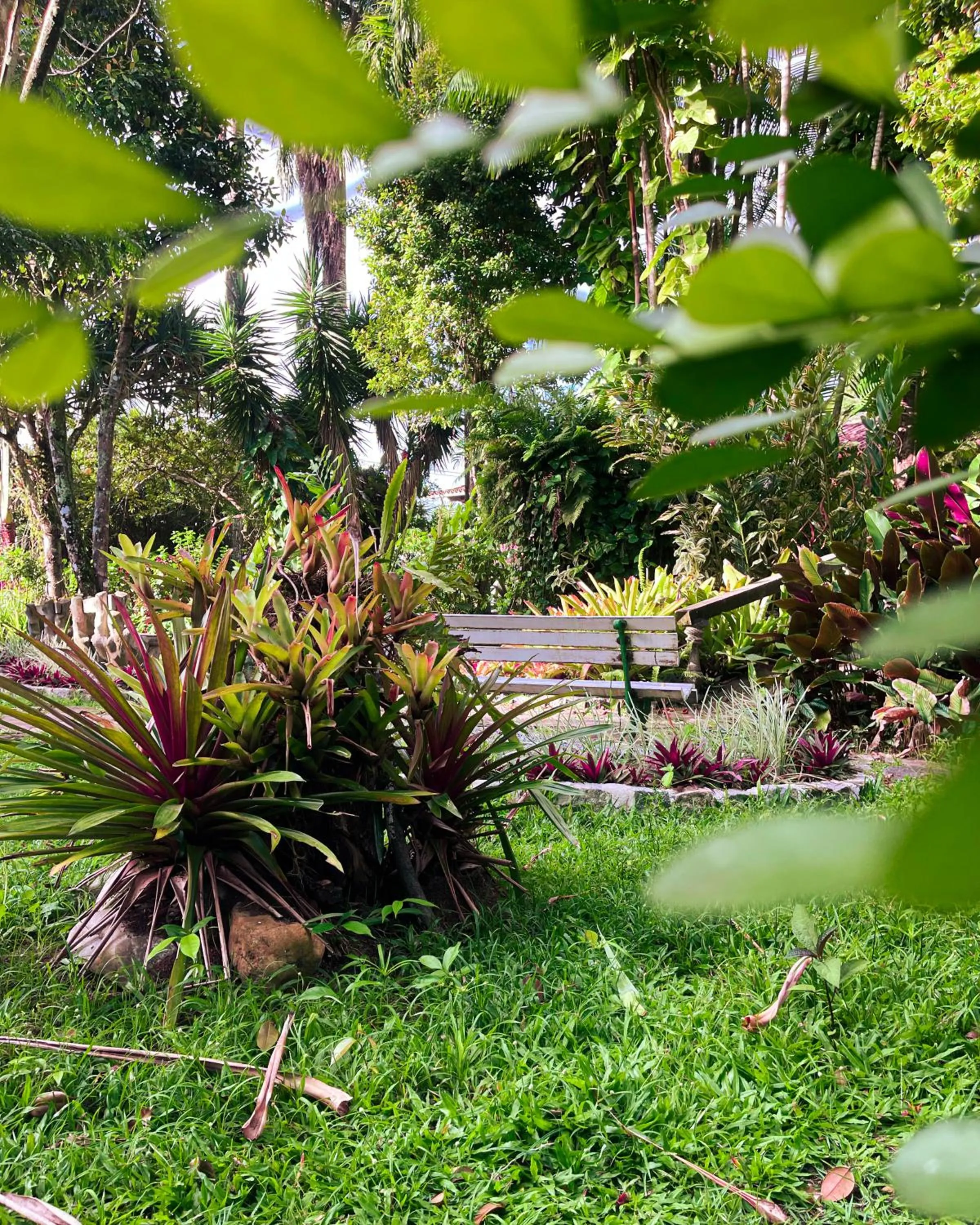 Garden in Hotel Solar do Imperador