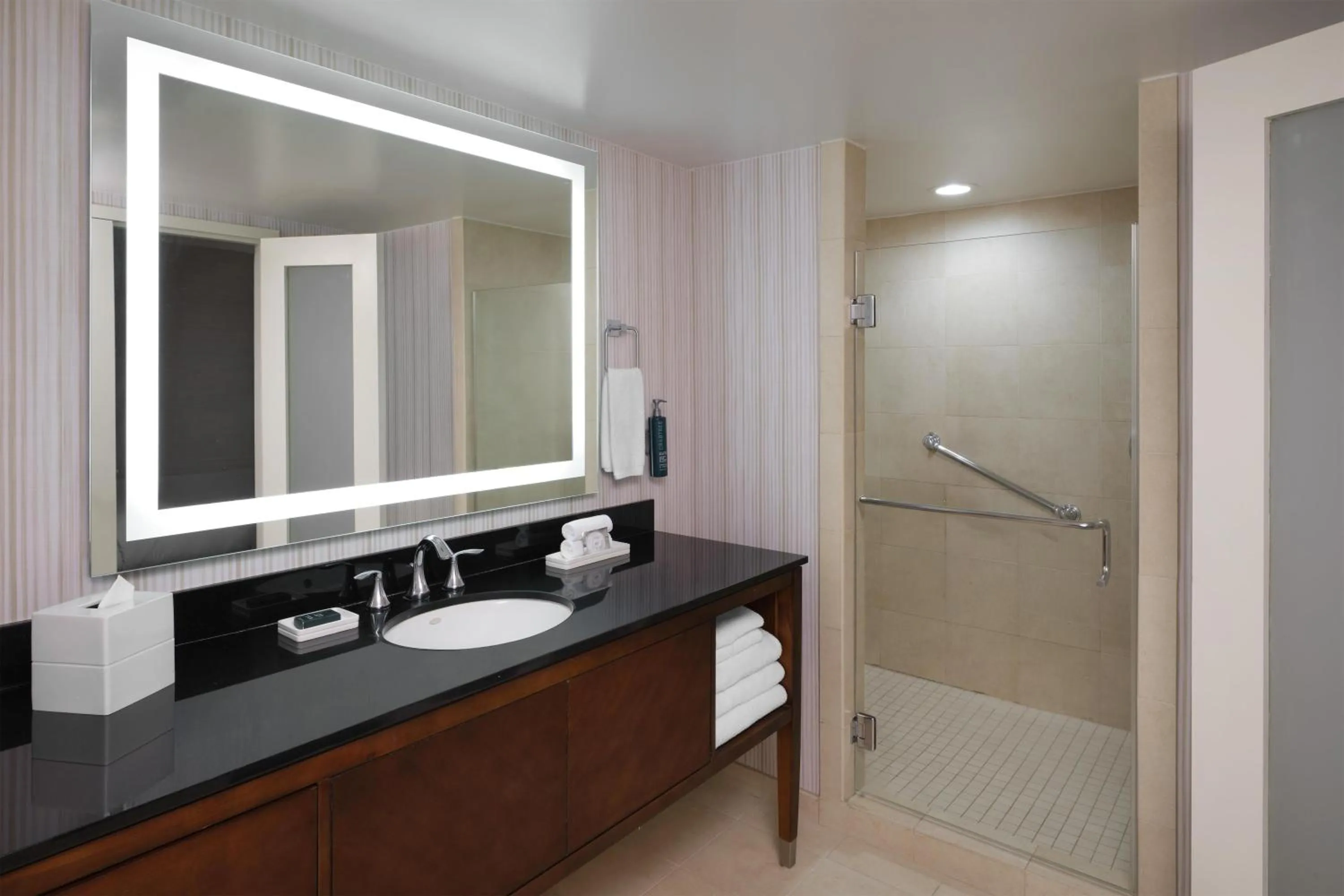 Bathroom in Hilton Washington DC/Rockville Hotel & Executive Meeting Center