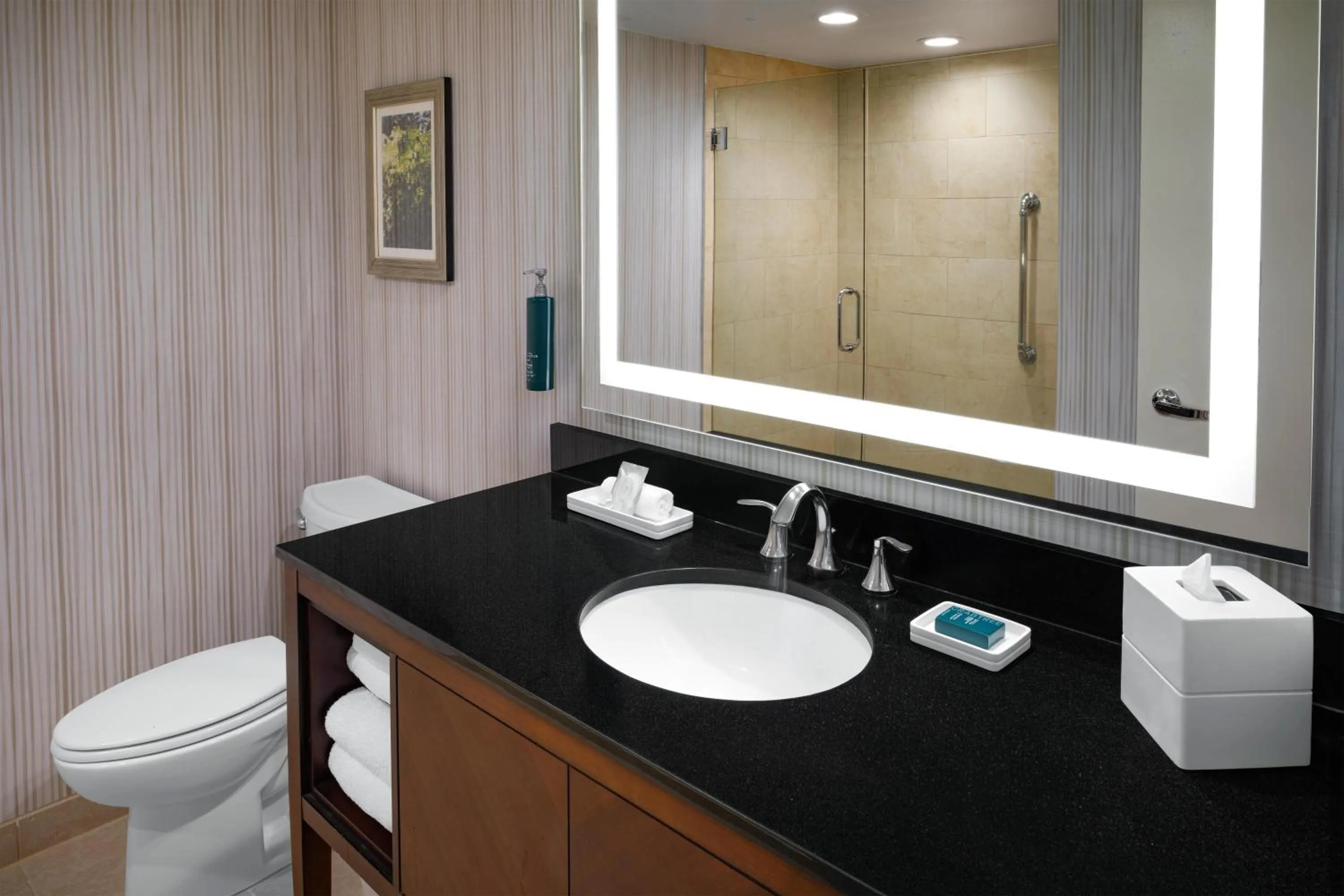 Bathroom in Hilton Washington DC/Rockville Hotel & Executive Meeting Center