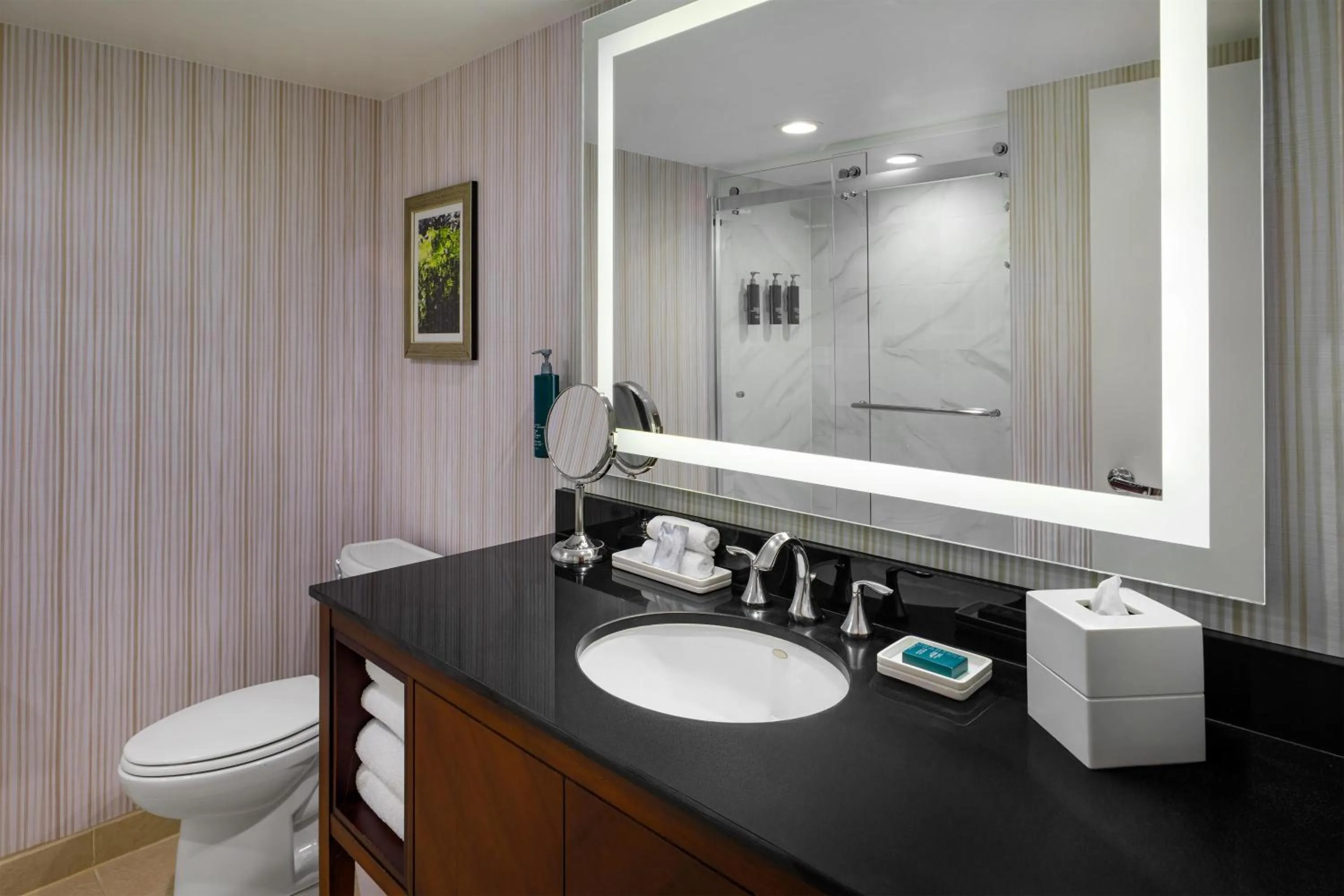 Bathroom in Hilton Washington DC/Rockville Hotel & Executive Meeting Center