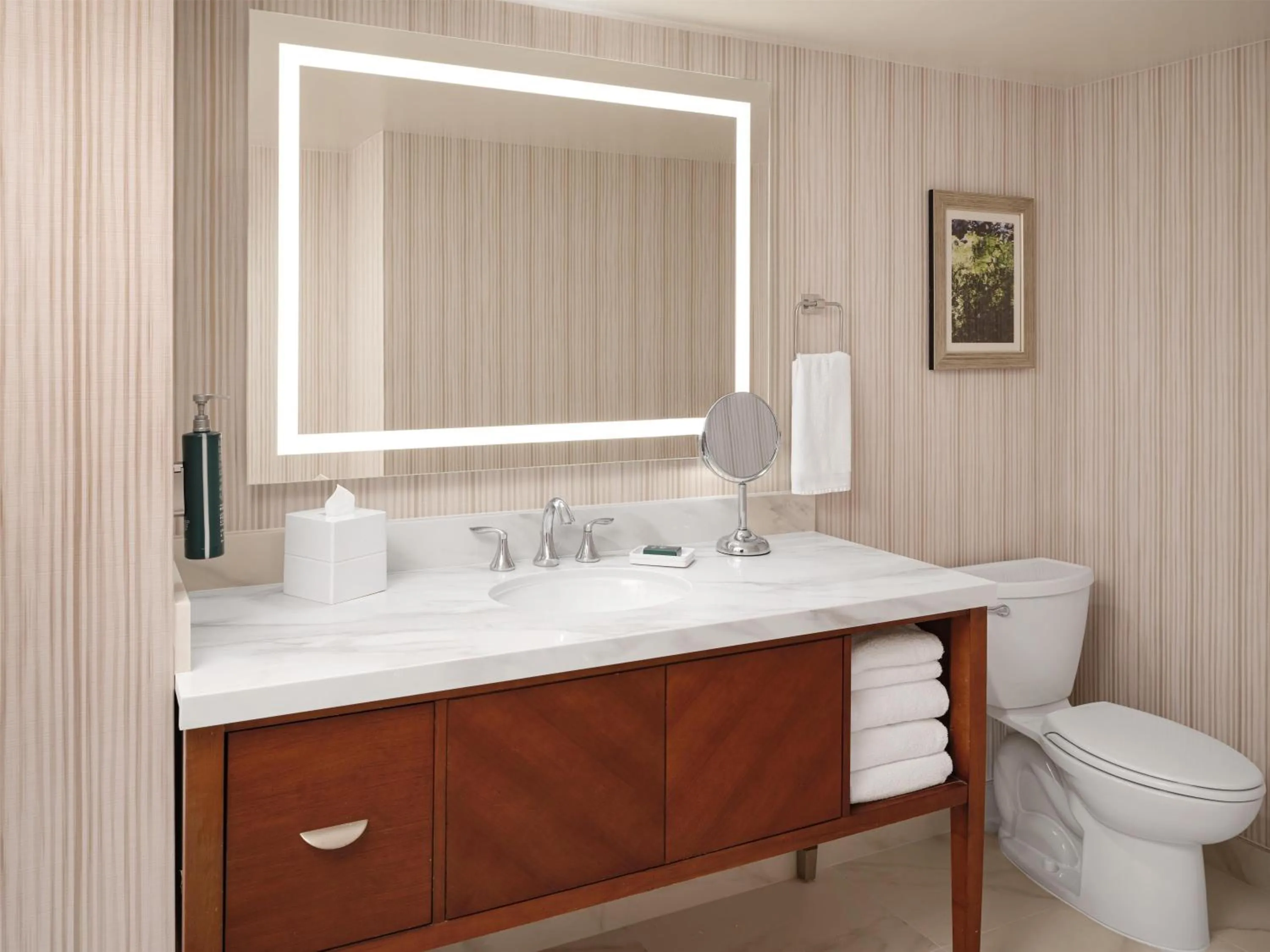 Bathroom in Hilton Washington DC/Rockville Hotel & Executive Meeting Center