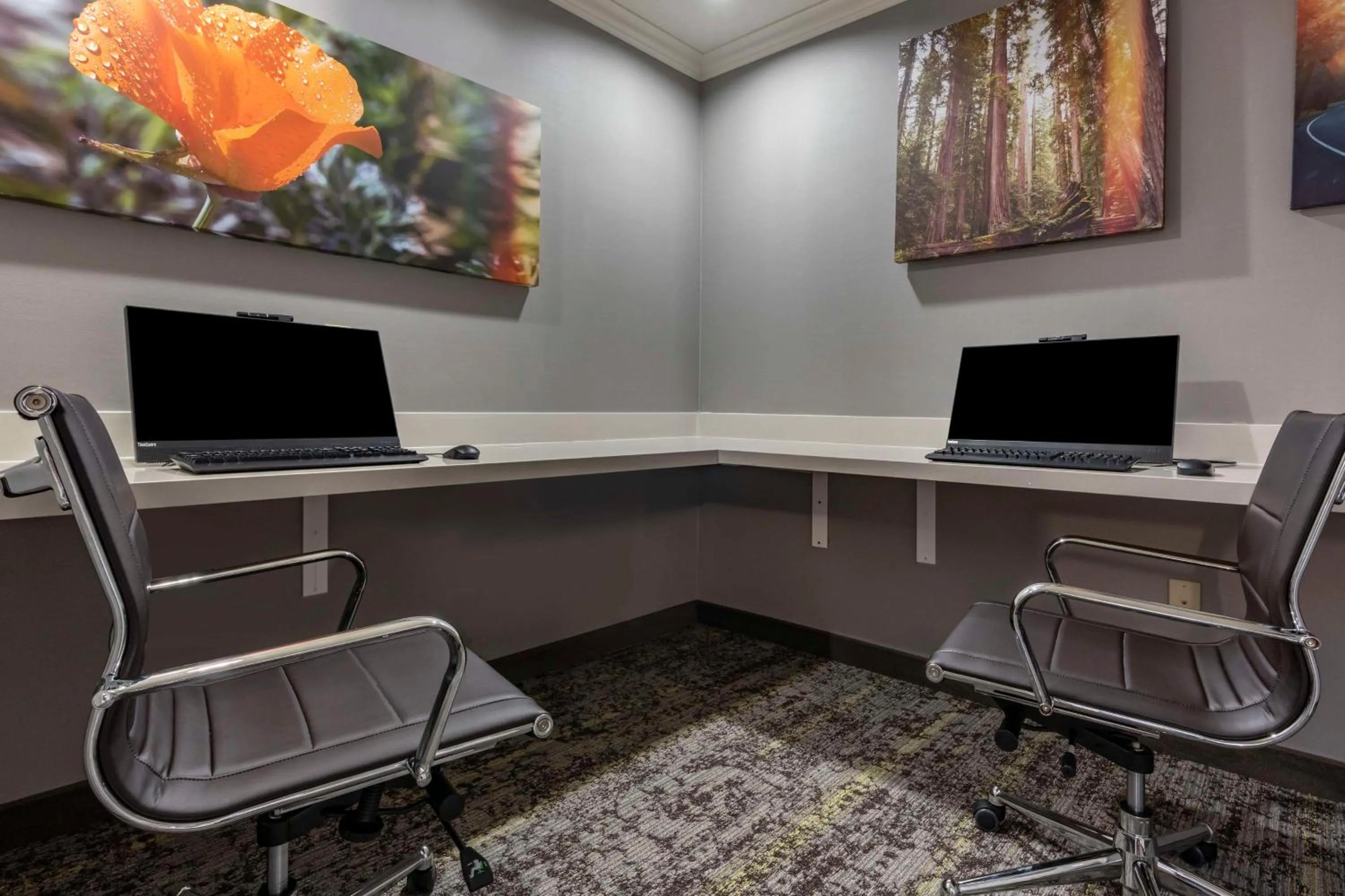 Business facilities in Hampton Inn Ukiah