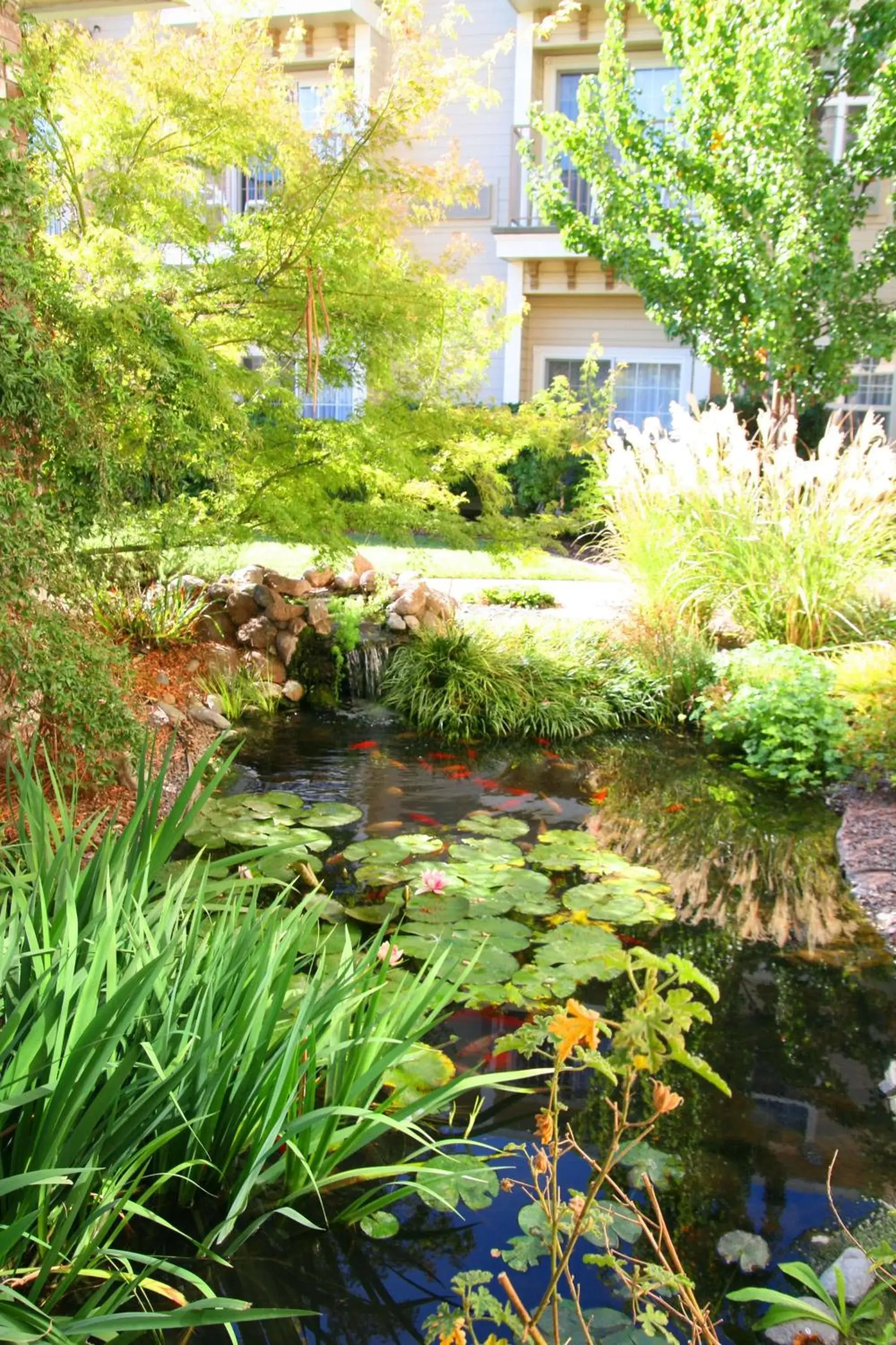 Property building in Hampton Inn Ukiah Property building in Hampton Inn Ukiah