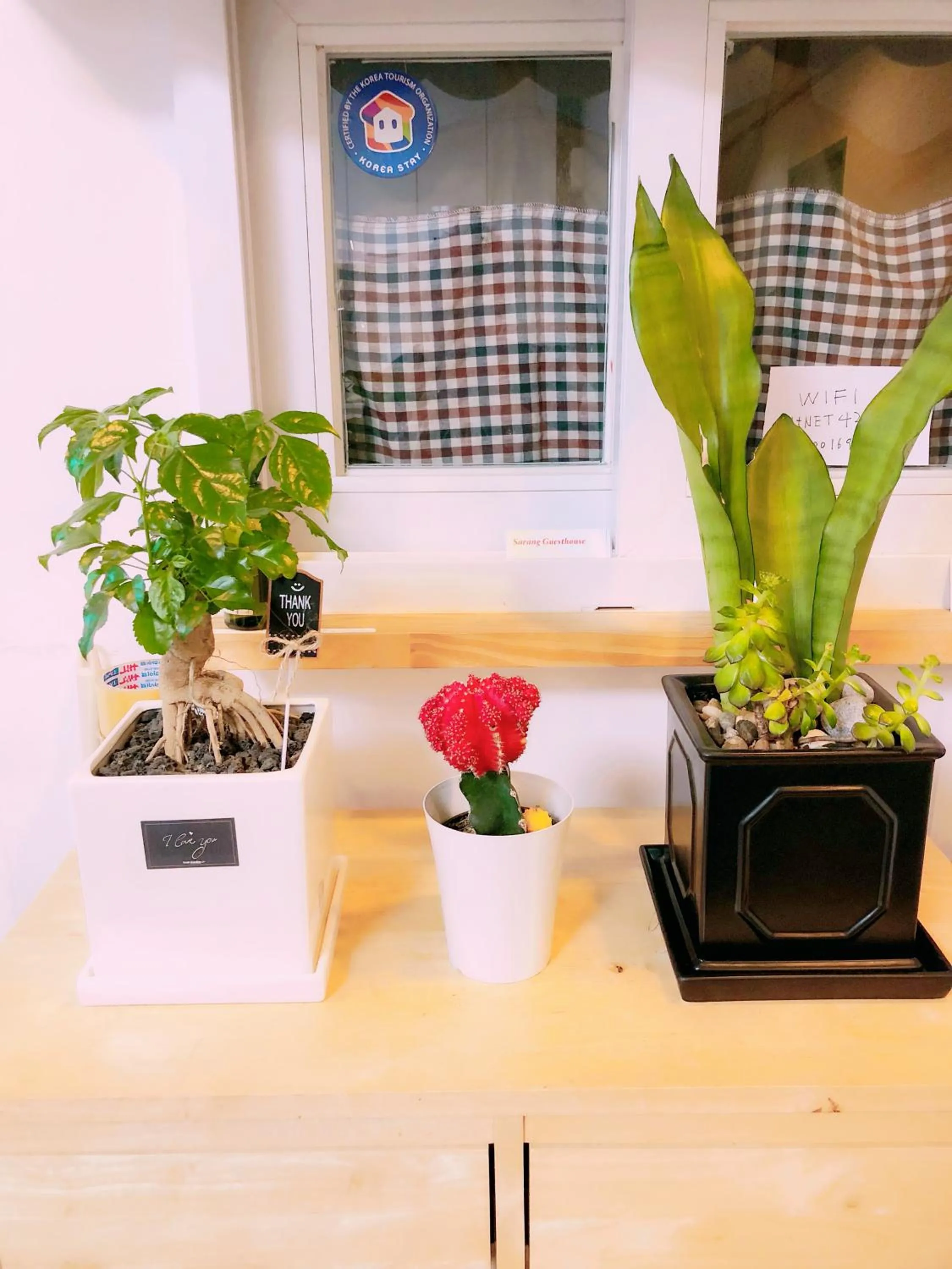 Sarang Guesthouse Dongdaemun