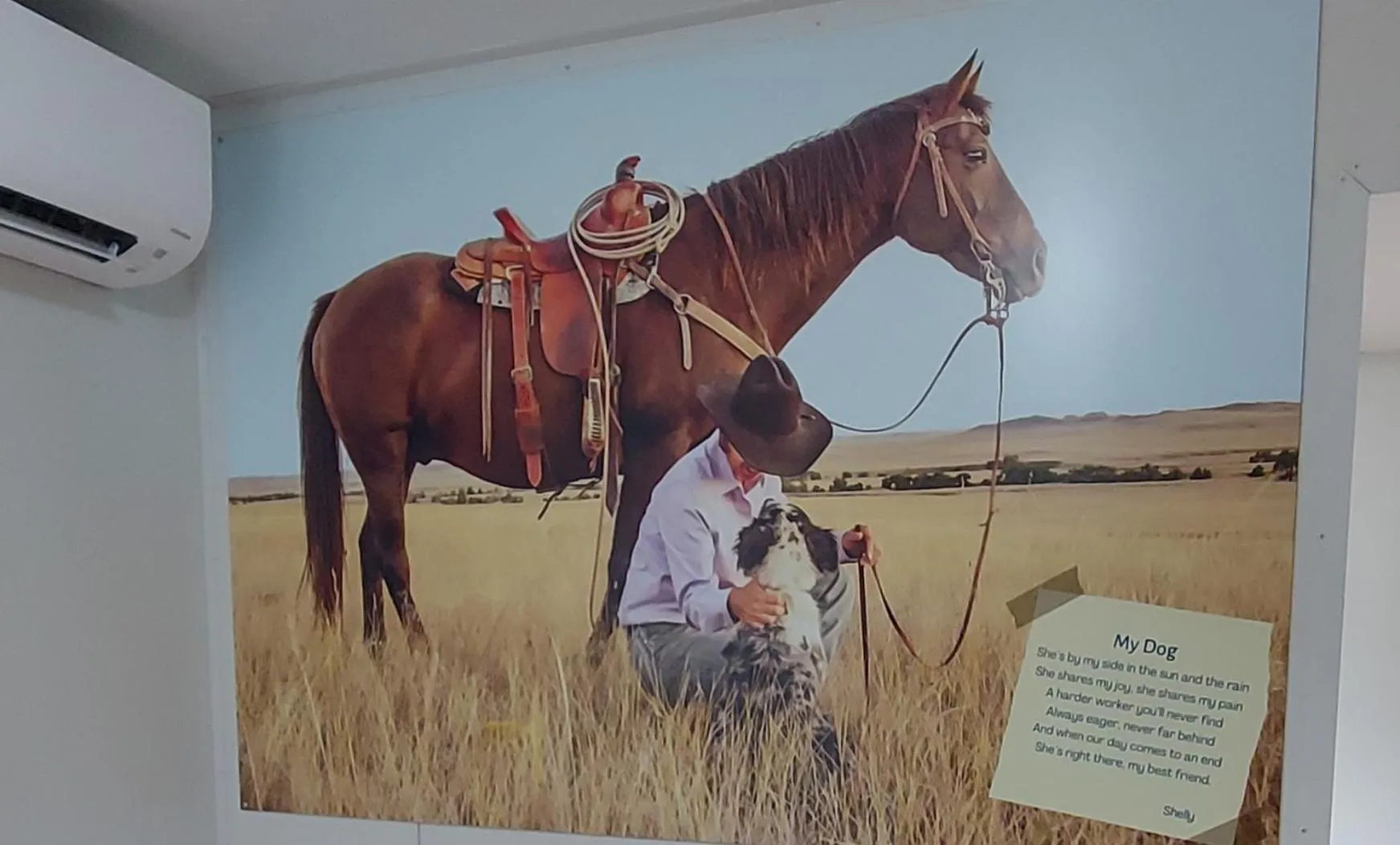 Property building in Litchfield Tourist Park