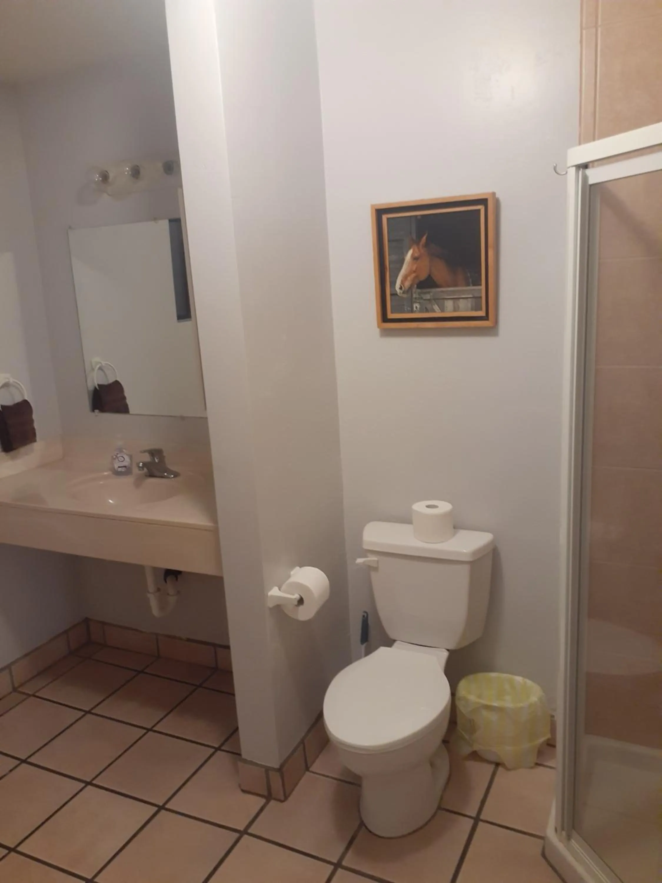 Bathroom in Stagecoach Suites