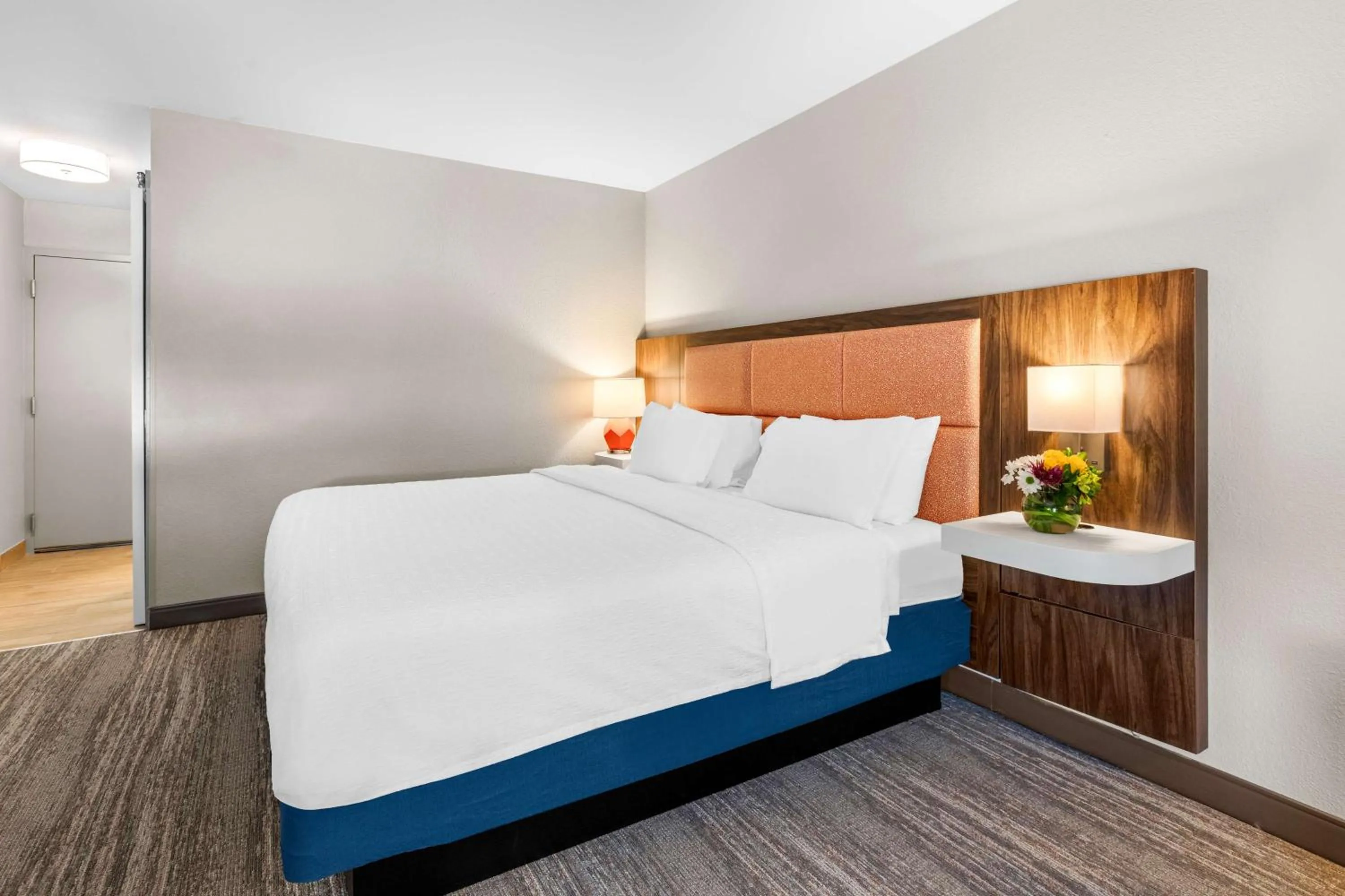 Bed in Hampton Inn Knoxville-Airport