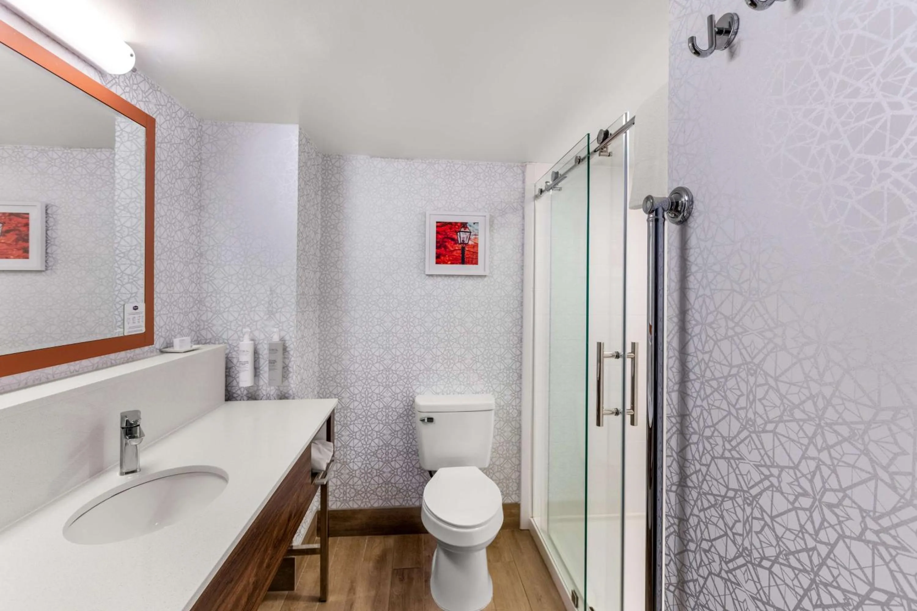 Shower in Hampton Inn Knoxville-Airport