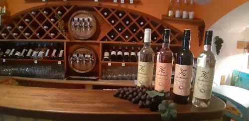 Penzion a Vinoteka Hrozen