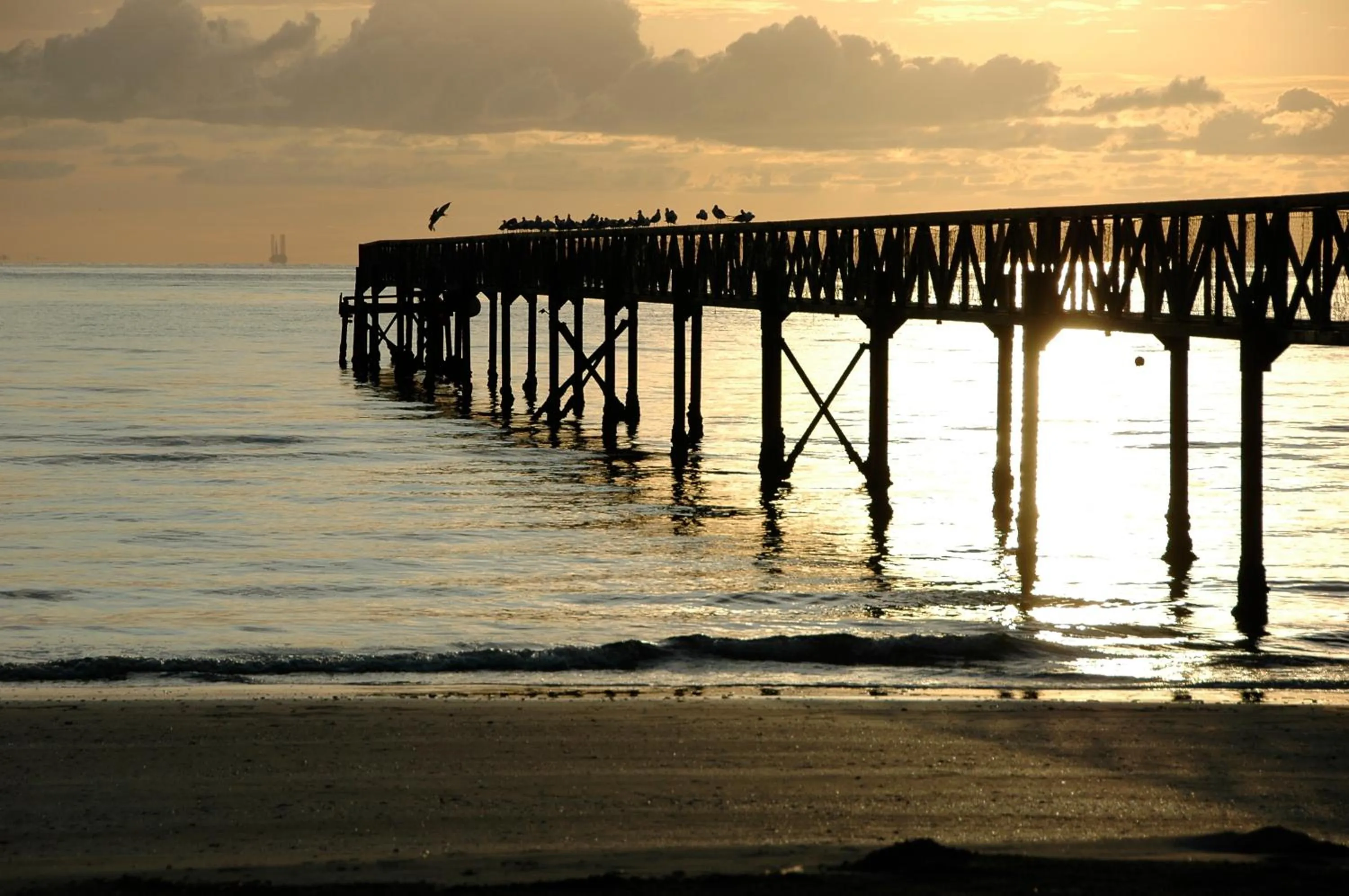 Area and facilities in Hotel Beau Soleil