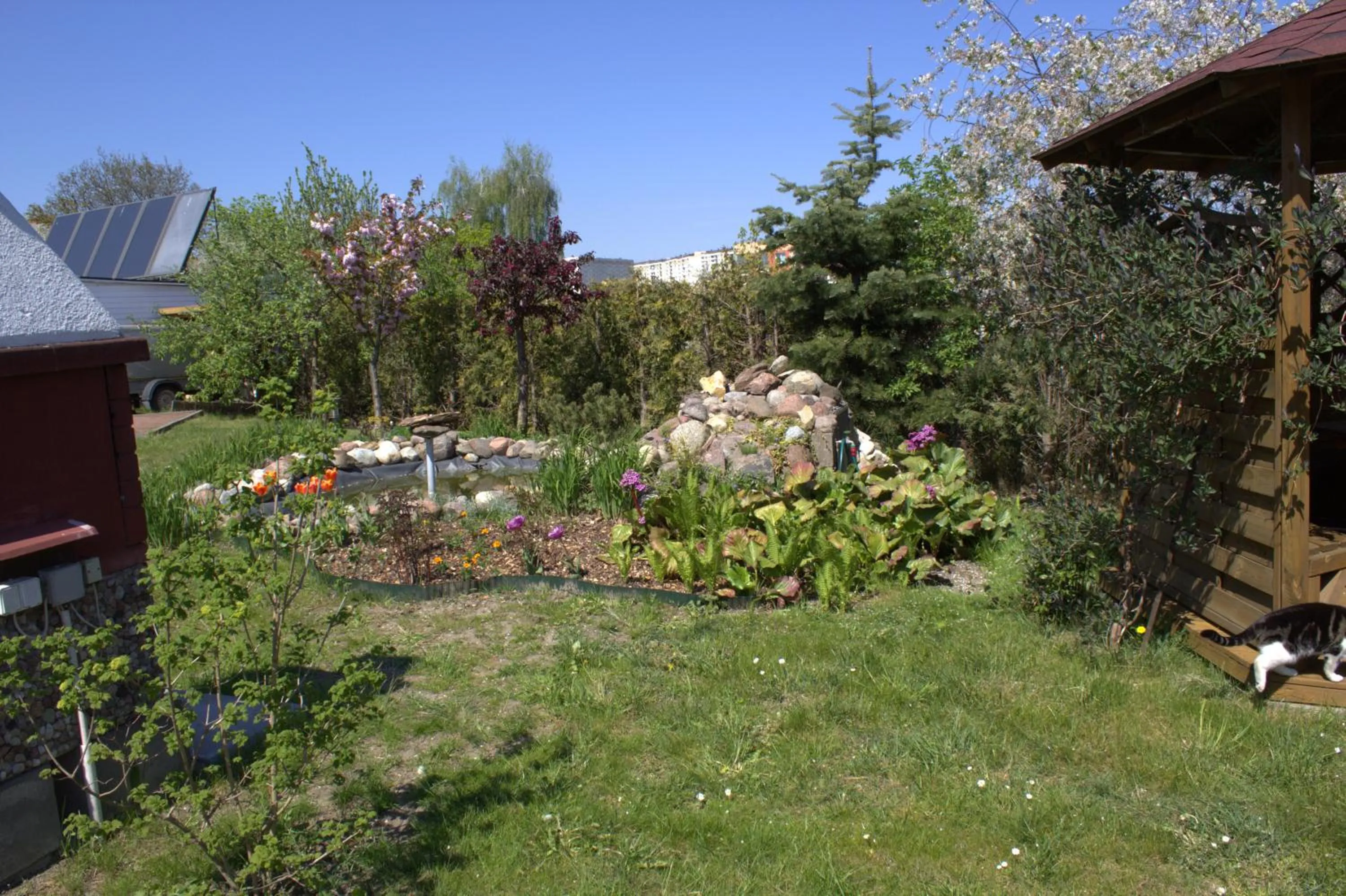 Day in Villa Pan Tadeusz