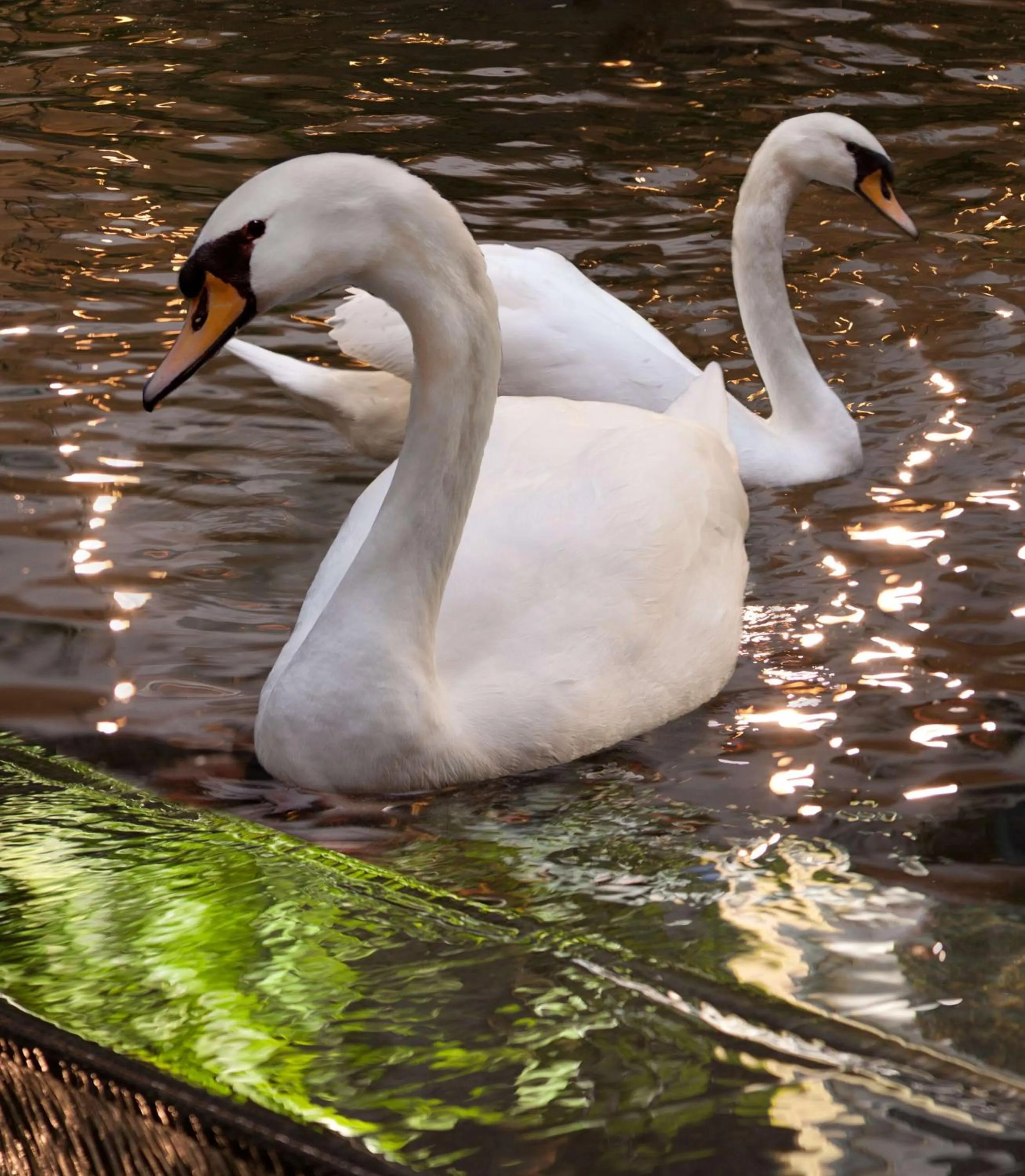 Lobby or reception in Embassy Suites by Hilton Las Vegas