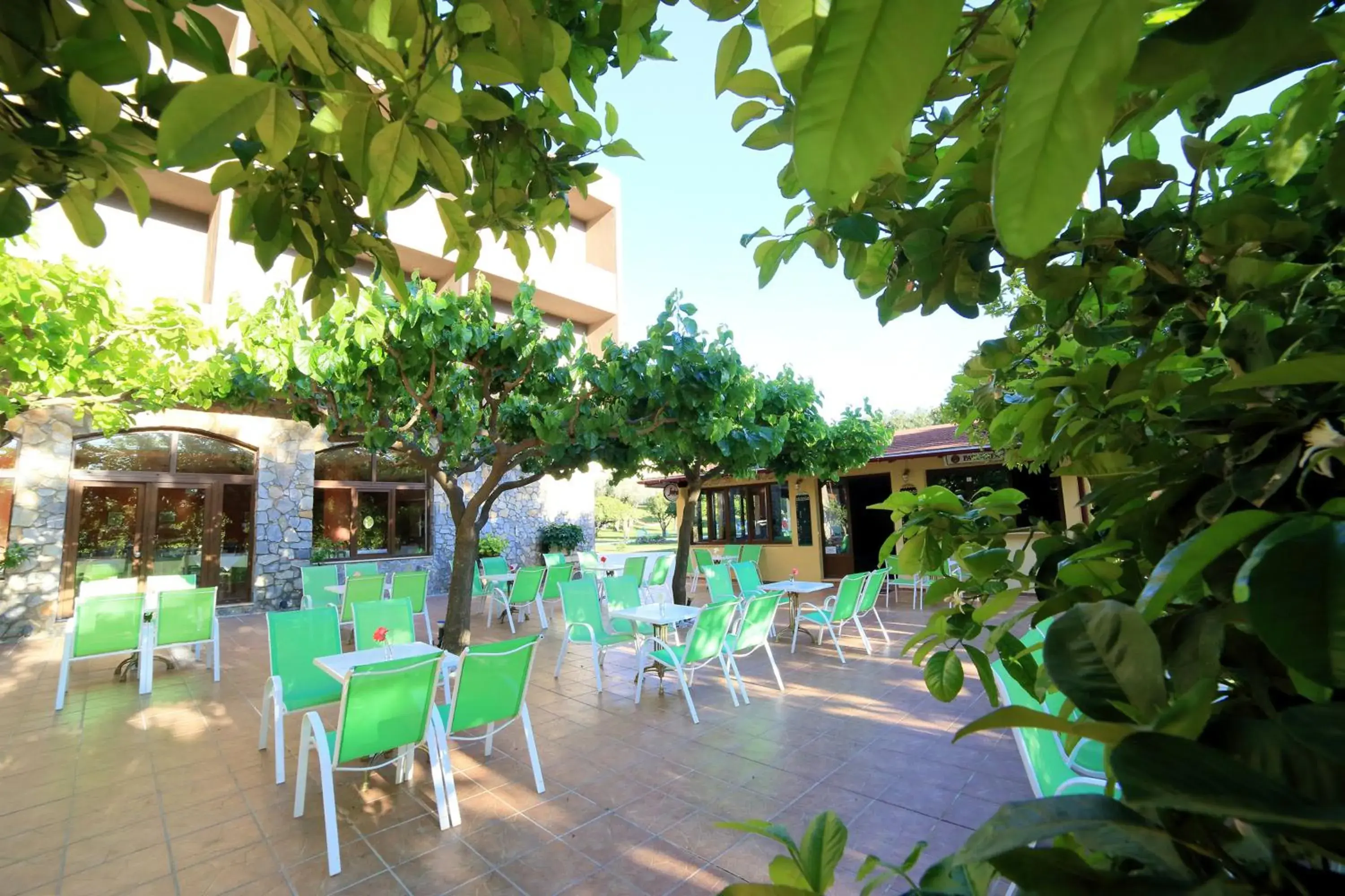 Lounge or bar in Idi Hotel Lounge or bar in Idi Hotel