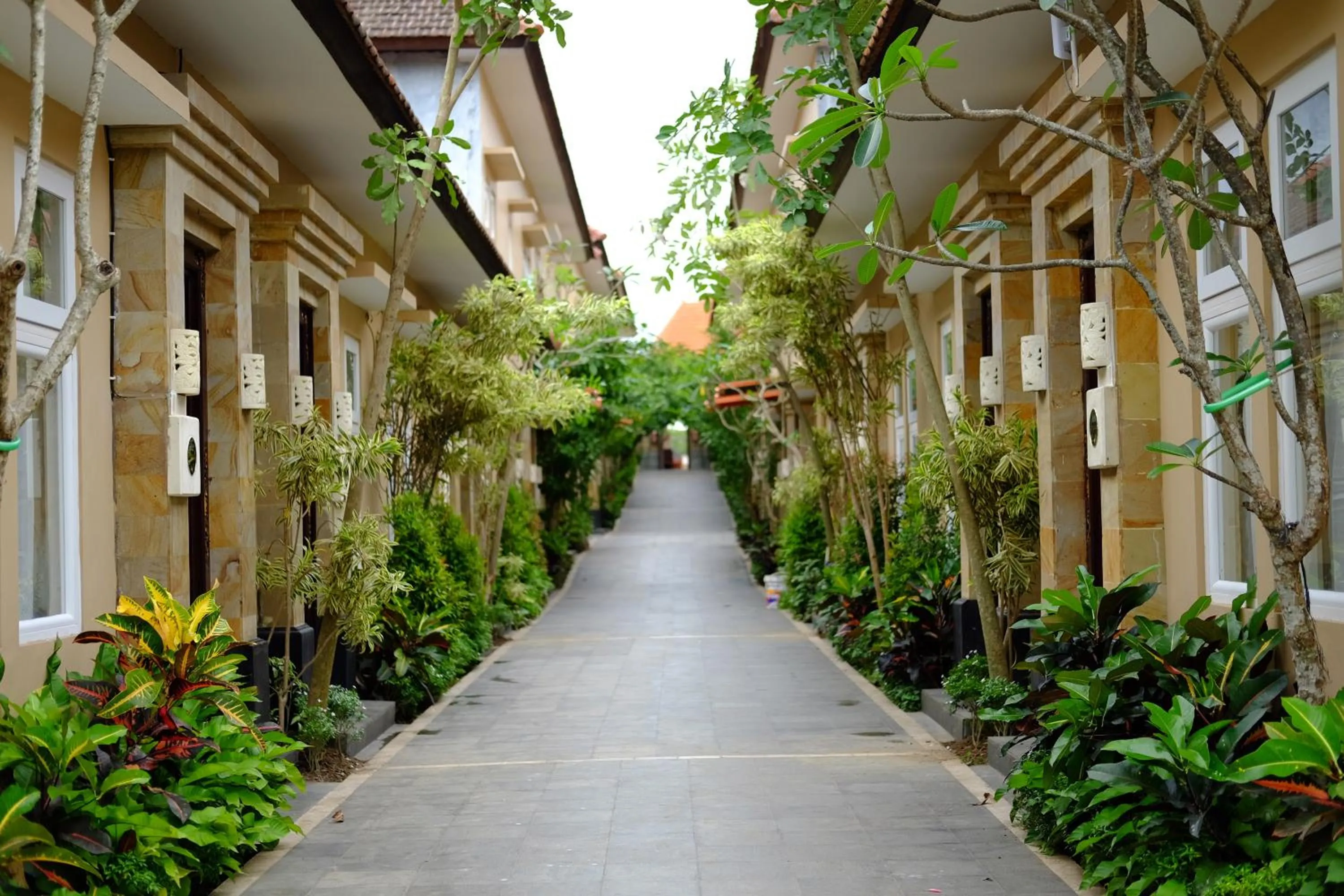 Day in Sari Villa Ubud