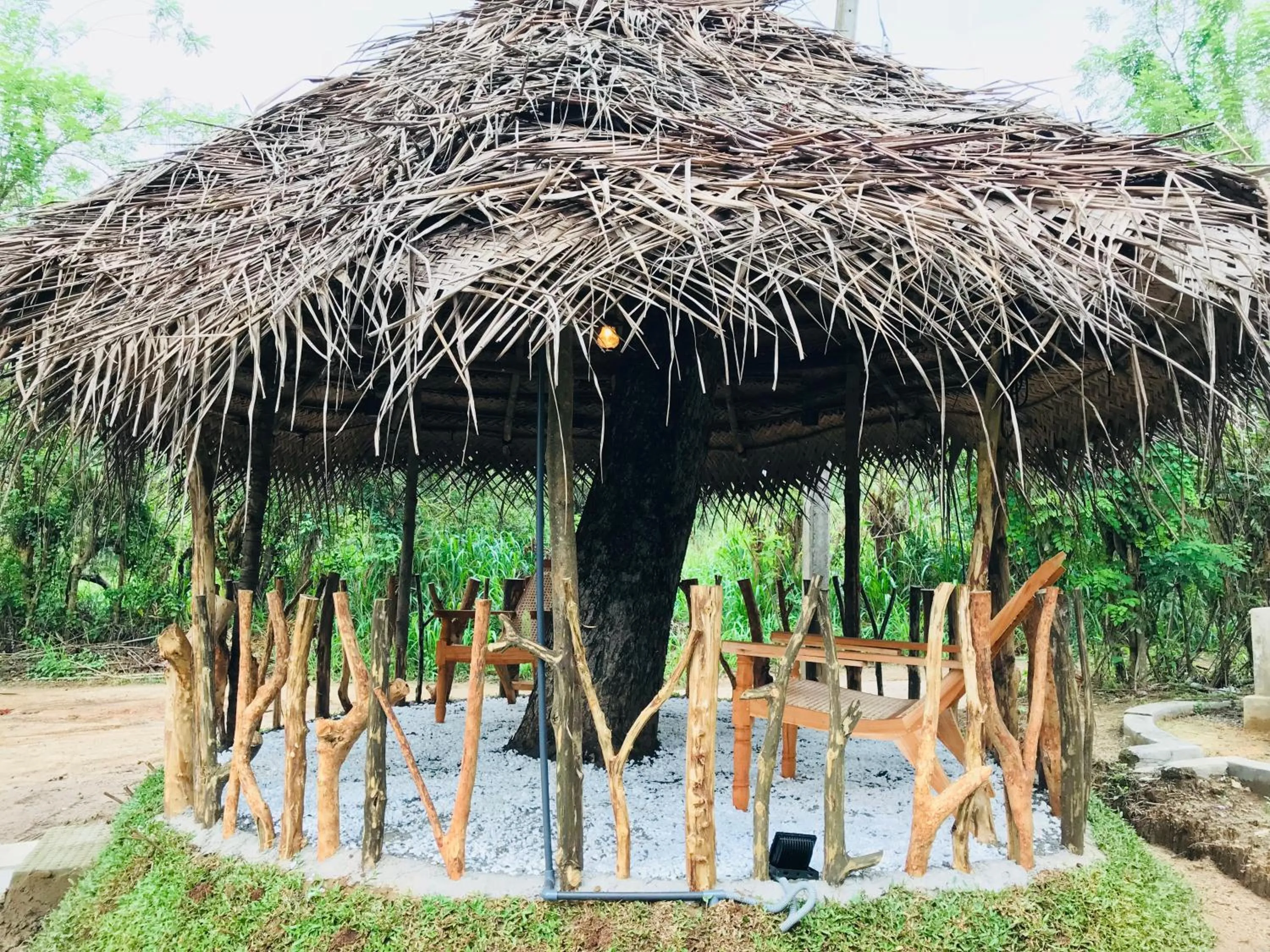 Decorative detail in Sigiriya Rock Hide