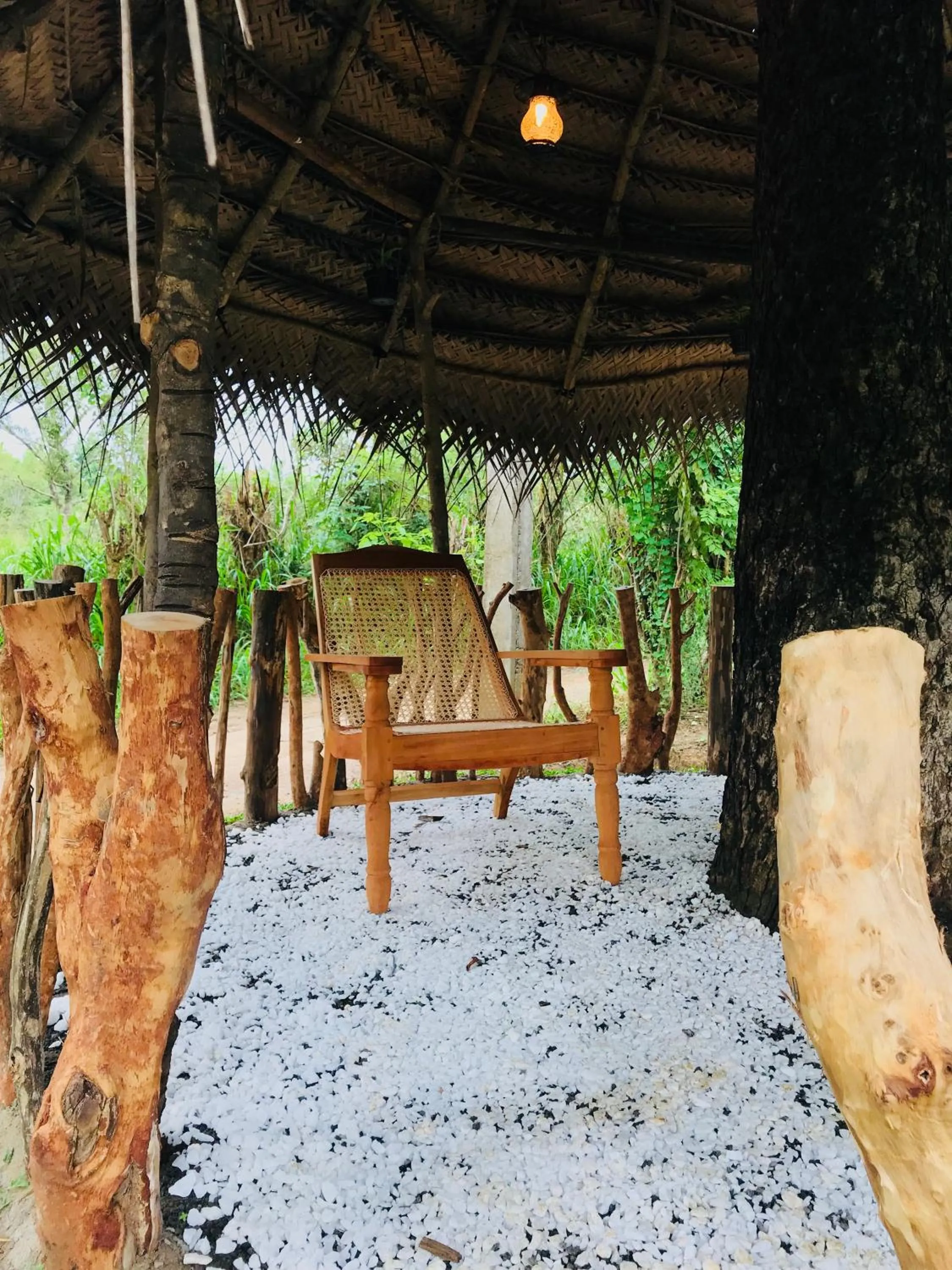 Decorative detail in Sigiriya Rock Hide