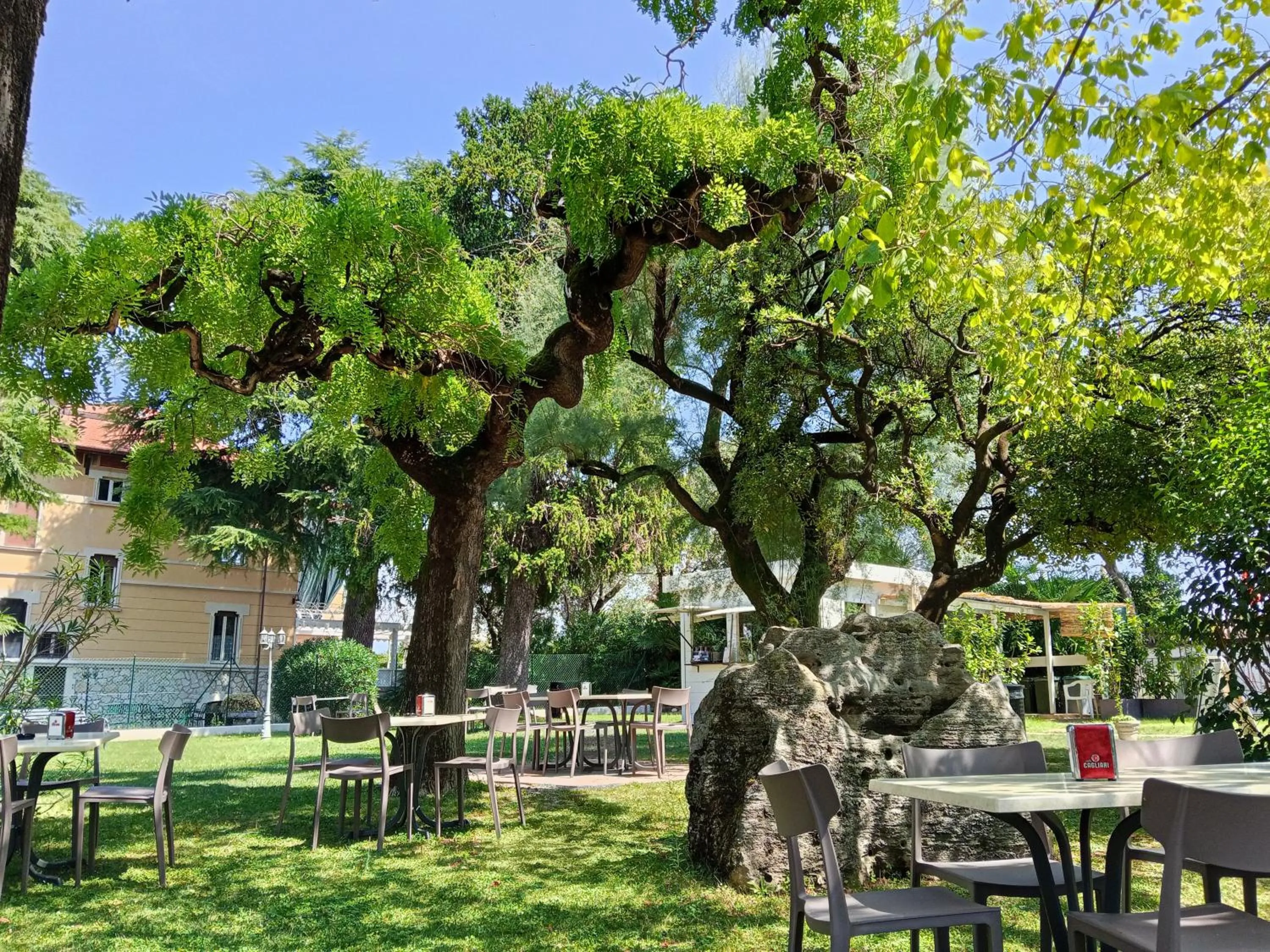 Garden in Hotel Villa Maria