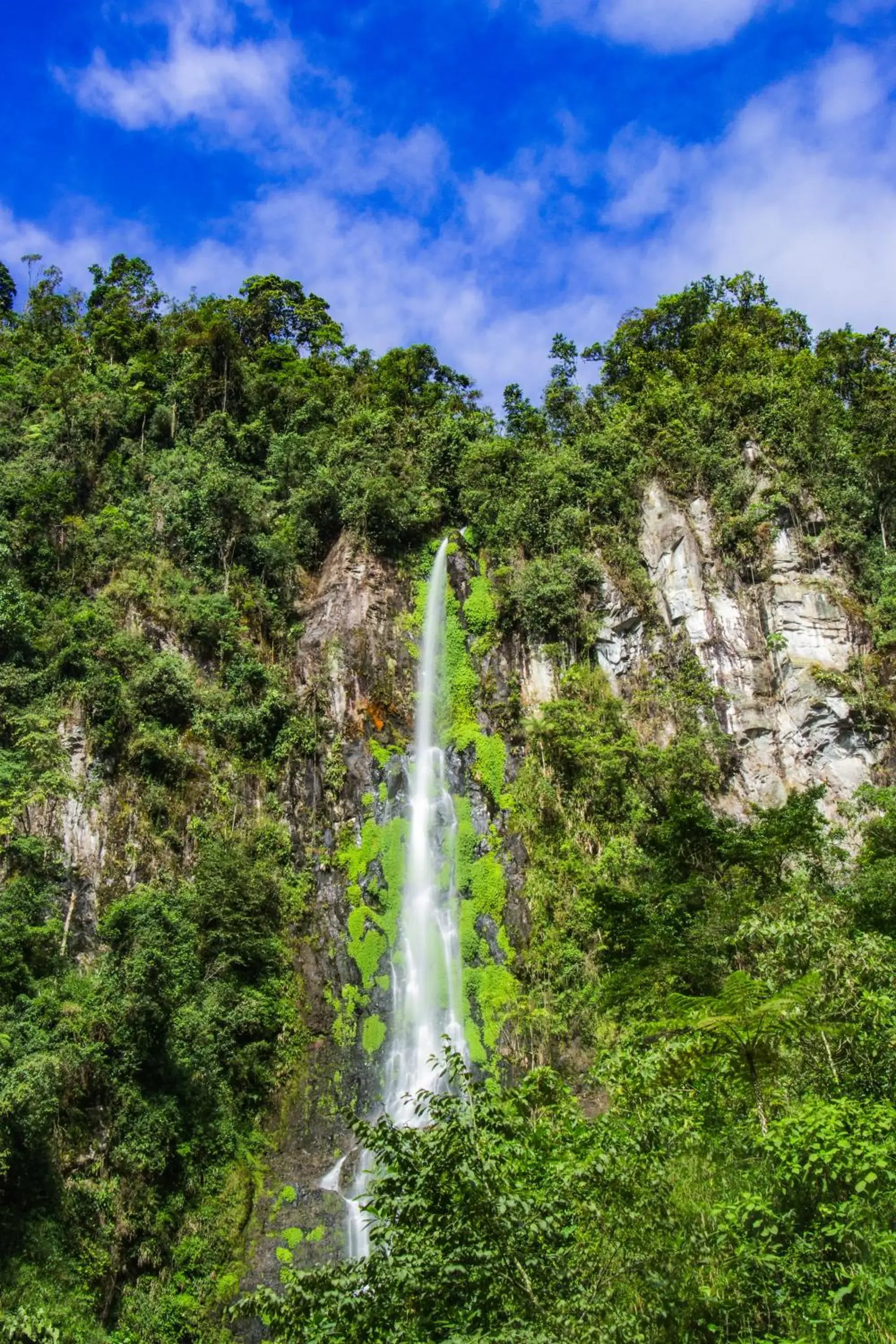 View (from property/room) in Termales Santa Rosa De Cabal View (from property/room) in Termales Santa Rosa De Cabal