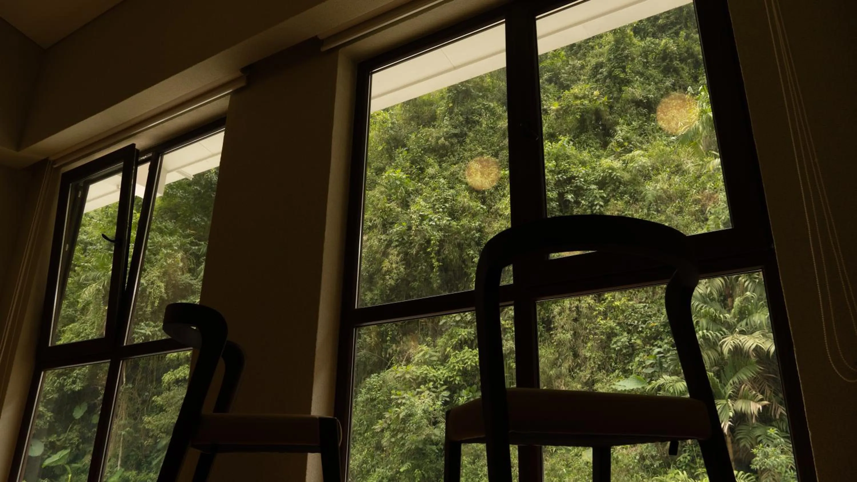 View (from property/room) in Termales Santa Rosa De Cabal