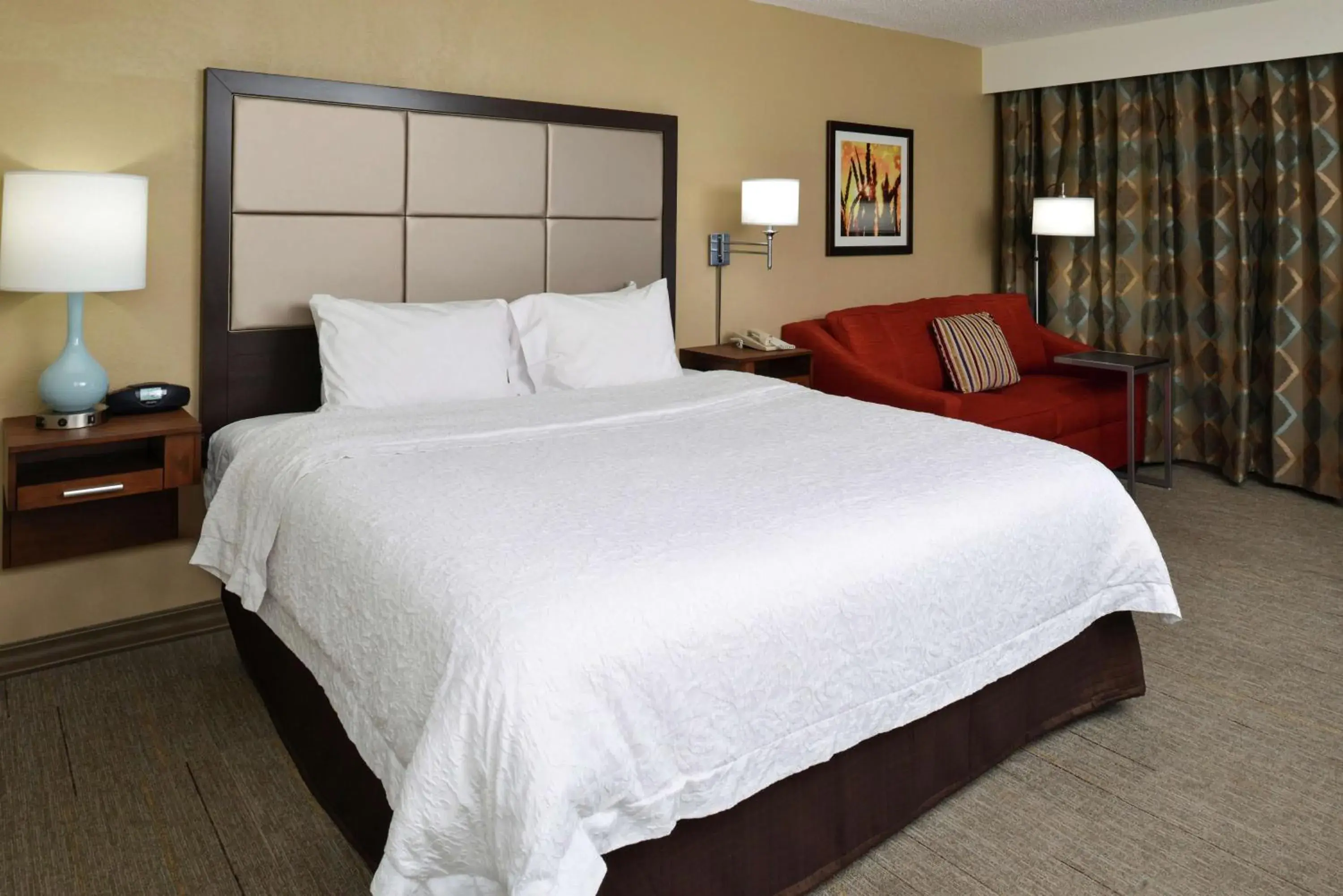 Living room, Bed in Hampton Inn Carbondale Living room, Bed in Hampton Inn Carbondale