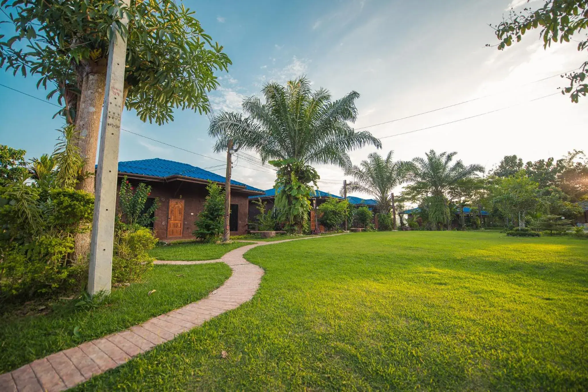 Garden in Mountain View House Garden in Mountain View House