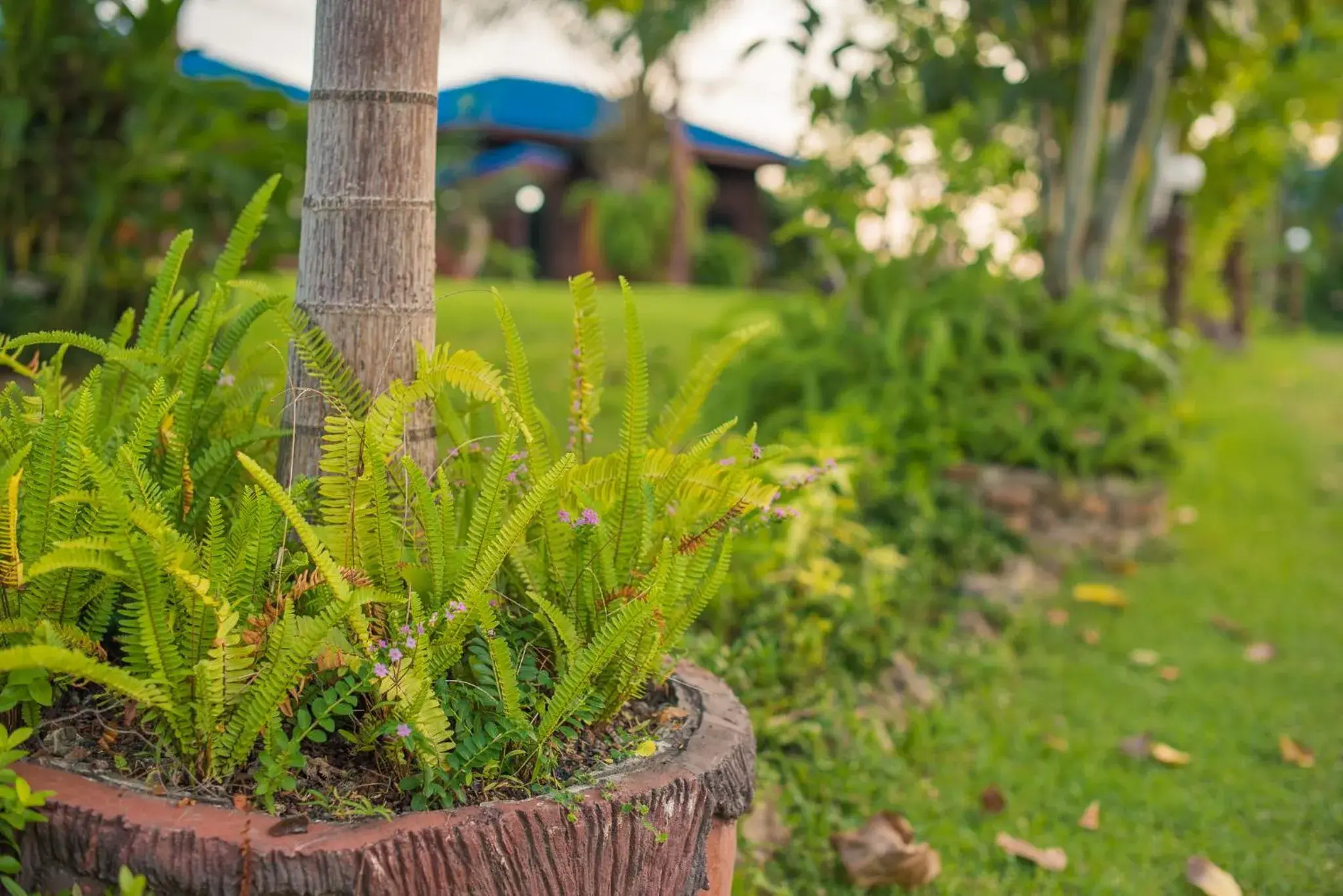 Property building in Mountain View House Property building in Mountain View House