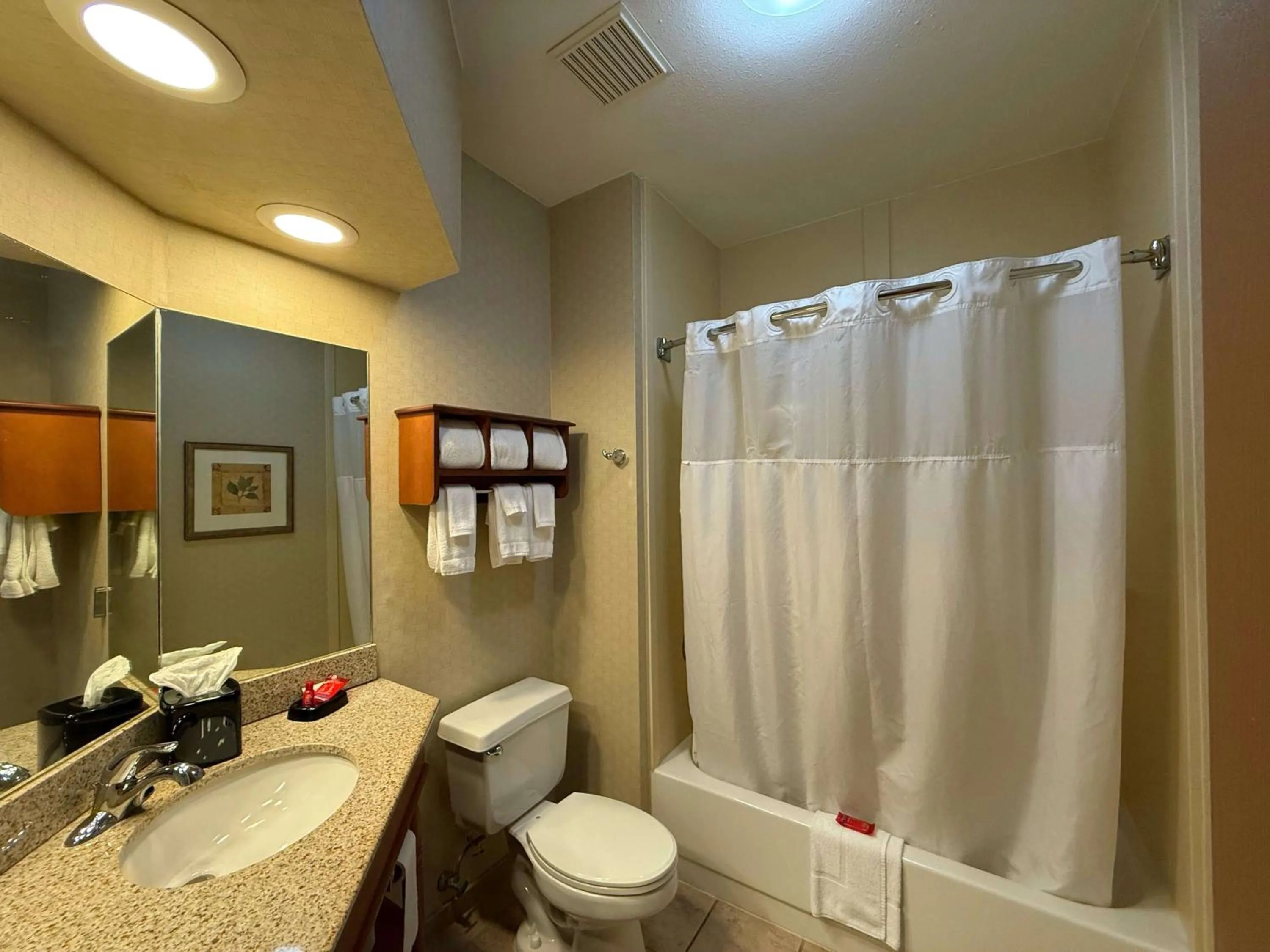 Bathroom in SureStay by Best Western Forsyth Decatur
