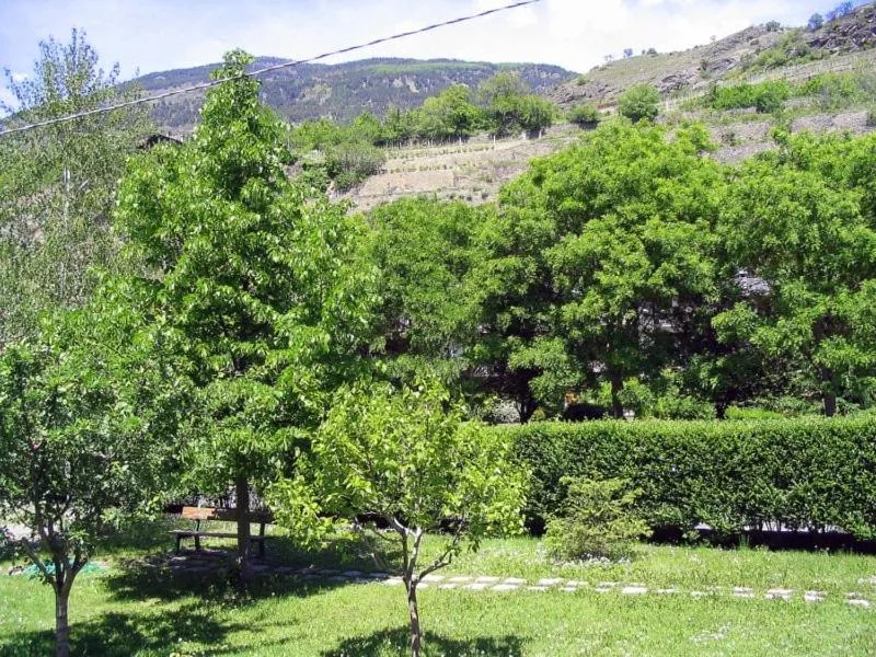 Garden in Hotel Saint Pierre