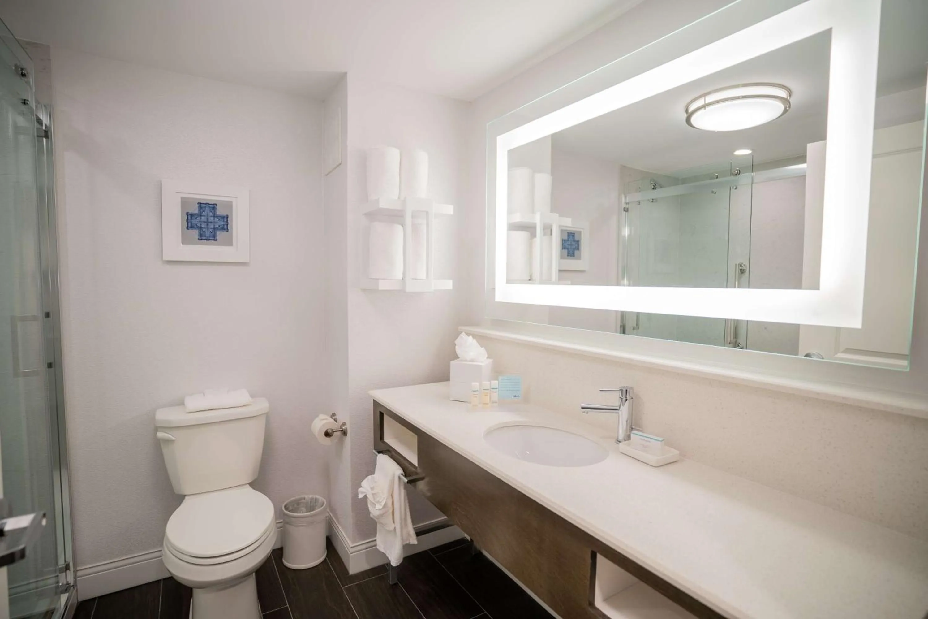 Bathroom in Hampton Inn & Suites Fairfield