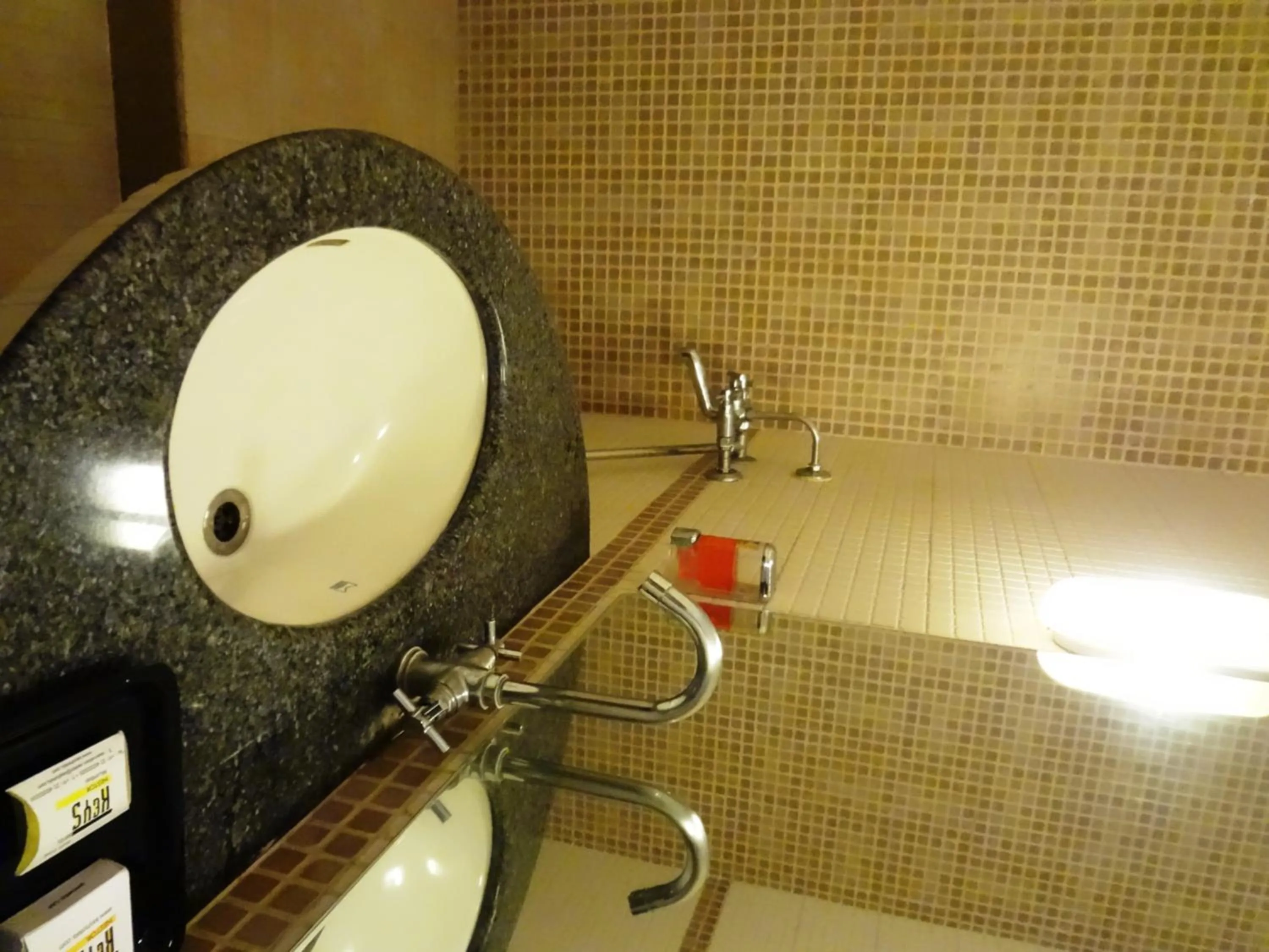 Bathroom in Nestor Hotel, Mumbai