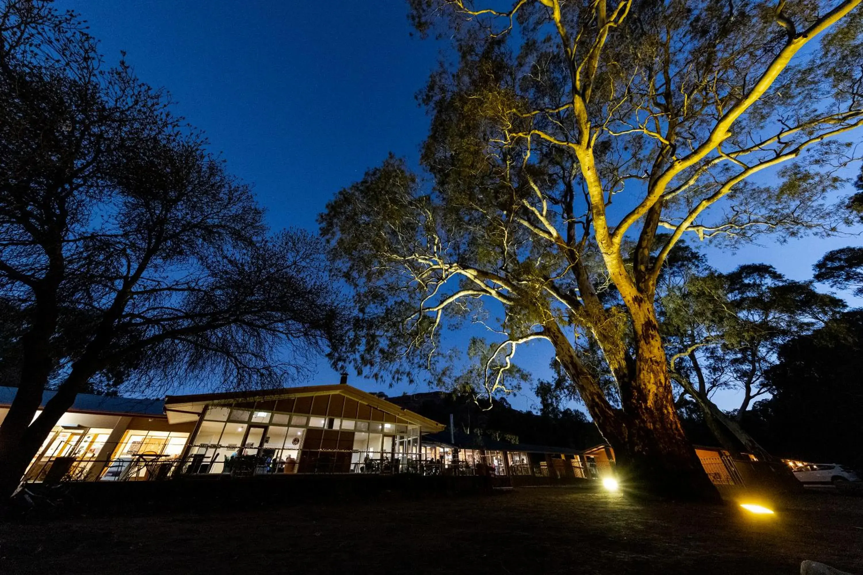 Restaurant/places to eat in Discovery Resorts - Wilpena Pound Restaurant/places to eat in Discovery Resorts - Wilpena Pound