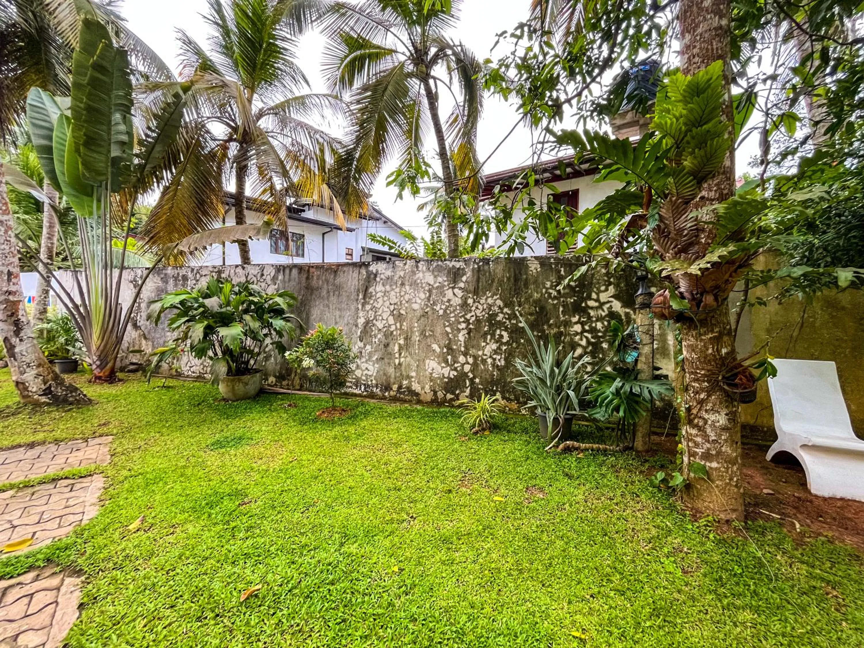 Natural landscape in Galle Camellia