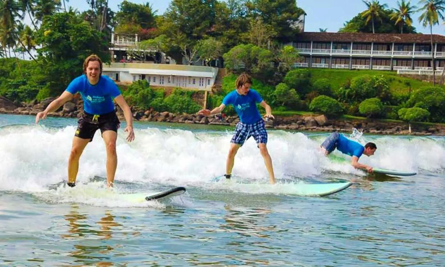 Off site in Galle Camellia