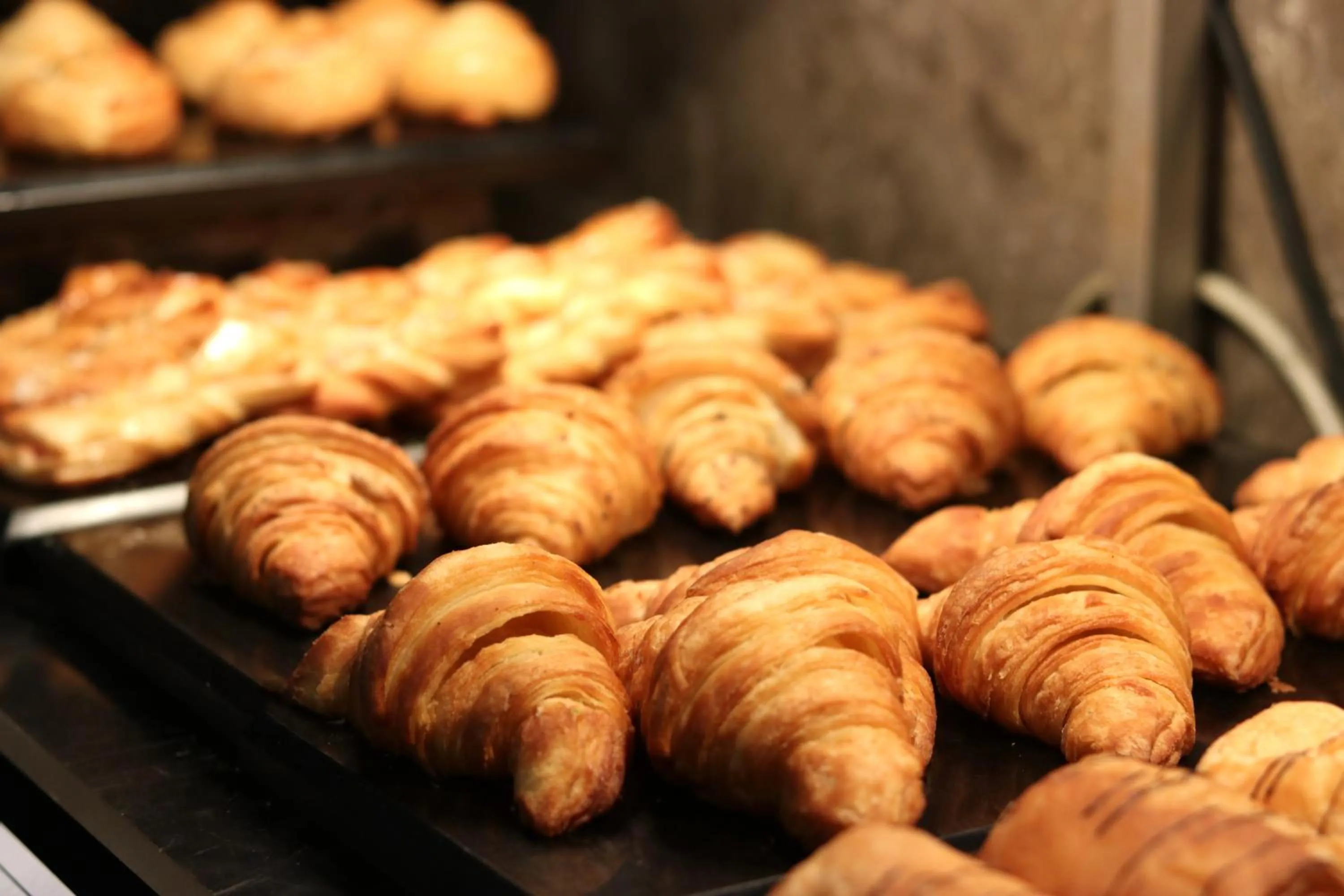 Breakfast in Fortune Park Galaxy, Vapi - Member ITC Hotels' Group