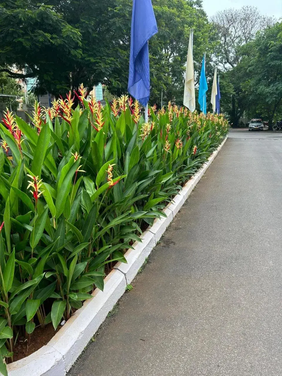 Garden in Fortune Valley View, Manipal - Member ITC Hotels' Group Garden in Fortune Valley View, Manipal - Member ITC Hotels' Group