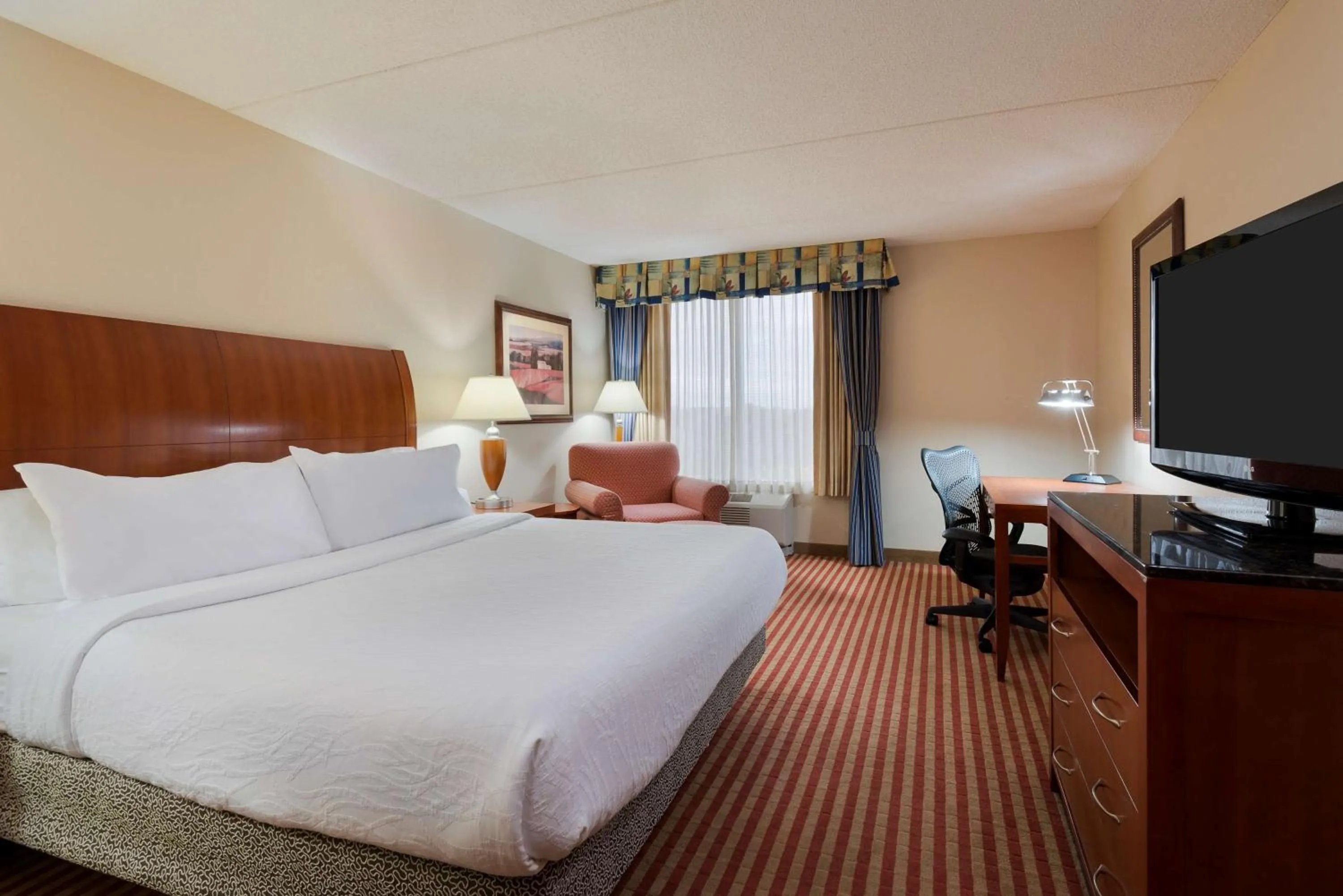 Premium King Room in Hilton Garden Inn Washington DC/Greenbelt