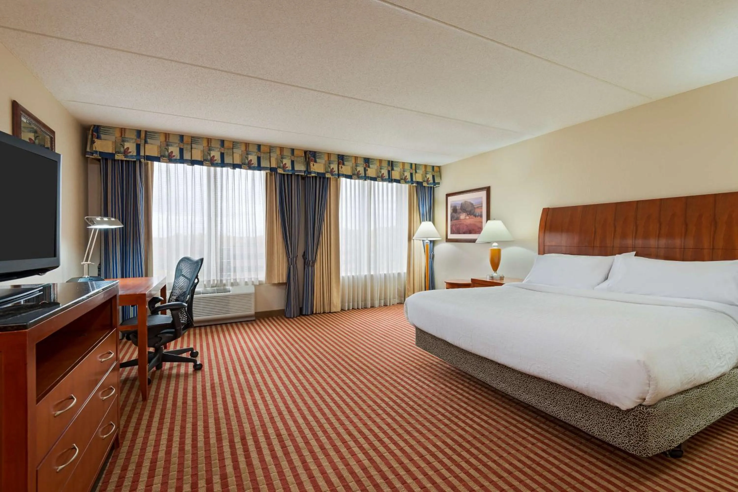 King Room with Whirlpool in Hilton Garden Inn Washington DC/Greenbelt