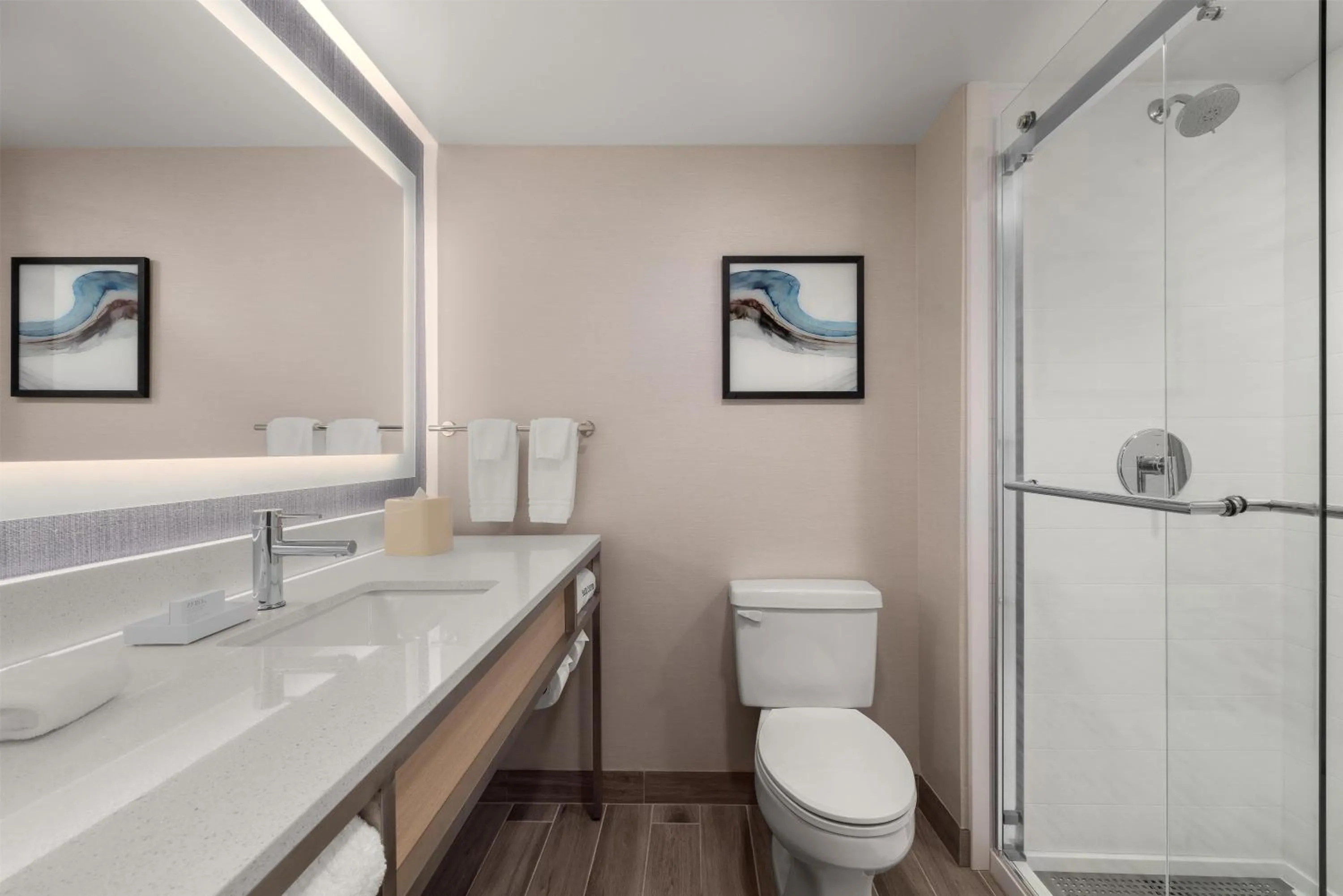 Bathroom in Hilton Garden Inn Washington DC/Greenbelt