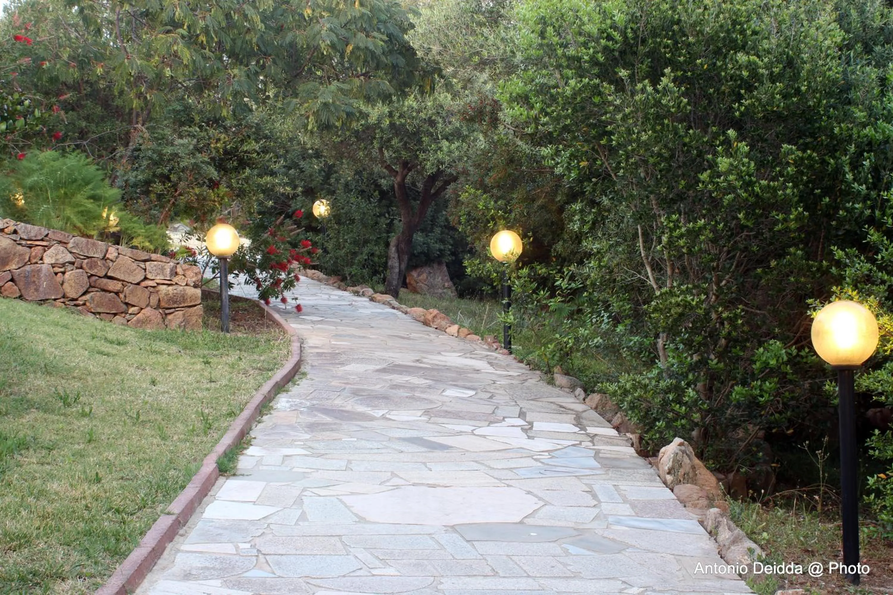 Sunset in Hotel Belvedere