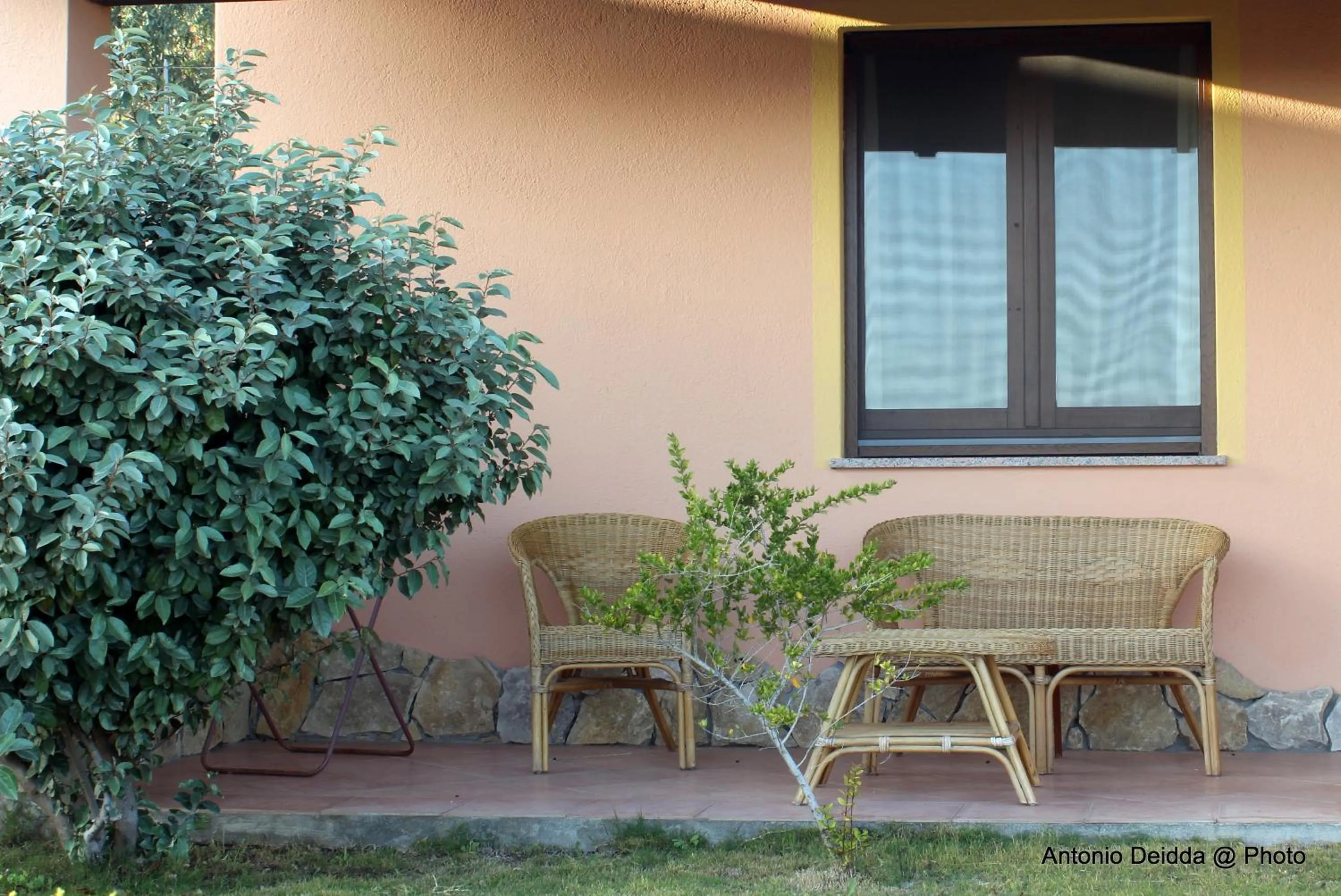 Balcony/Terrace in Hotel Belvedere